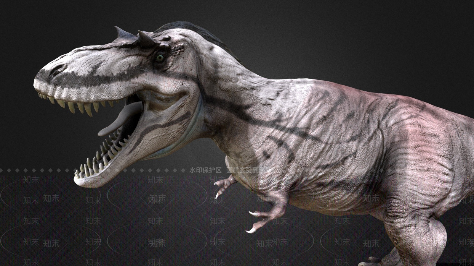 其他动物3D模型下载【ID:1197429980】