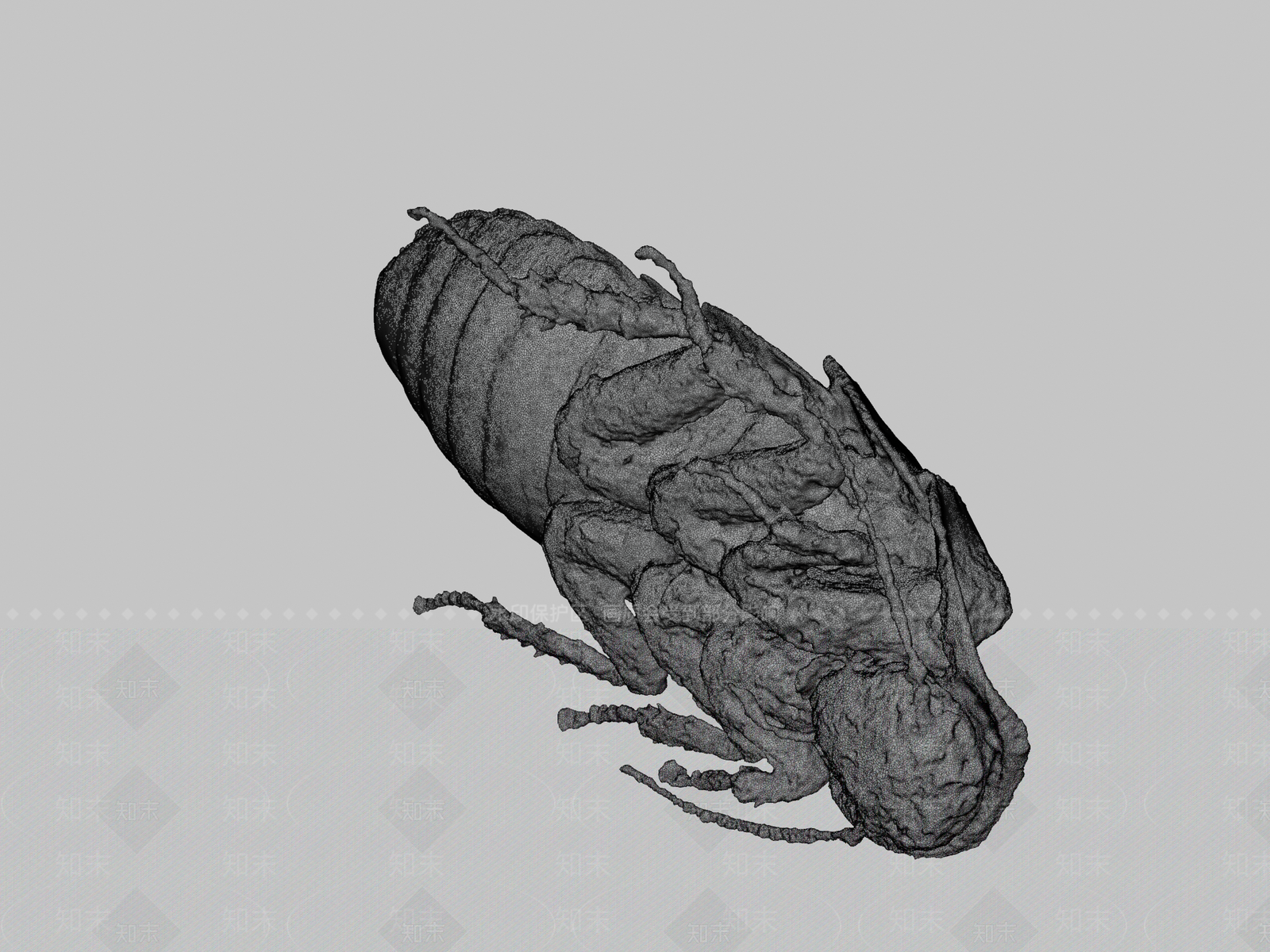 飞行类动物3D模型下载【ID:1197430279】