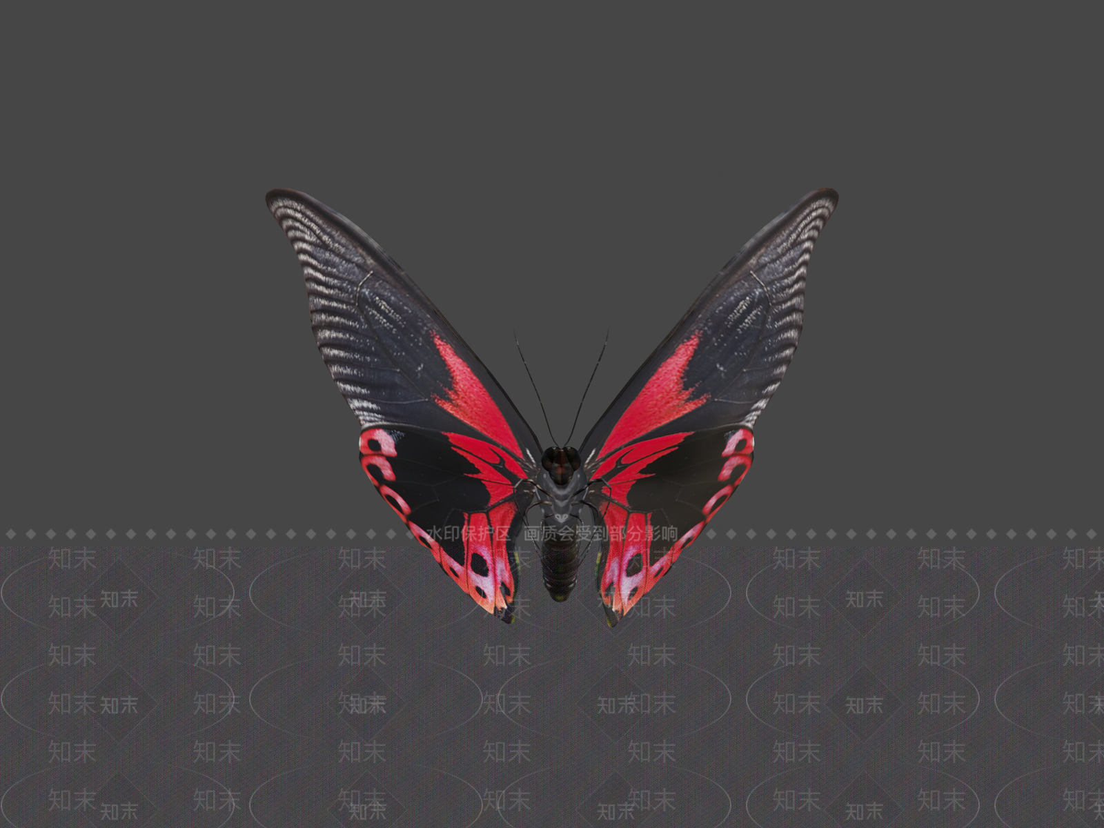 其他动物3D模型下载【ID:1197431424】