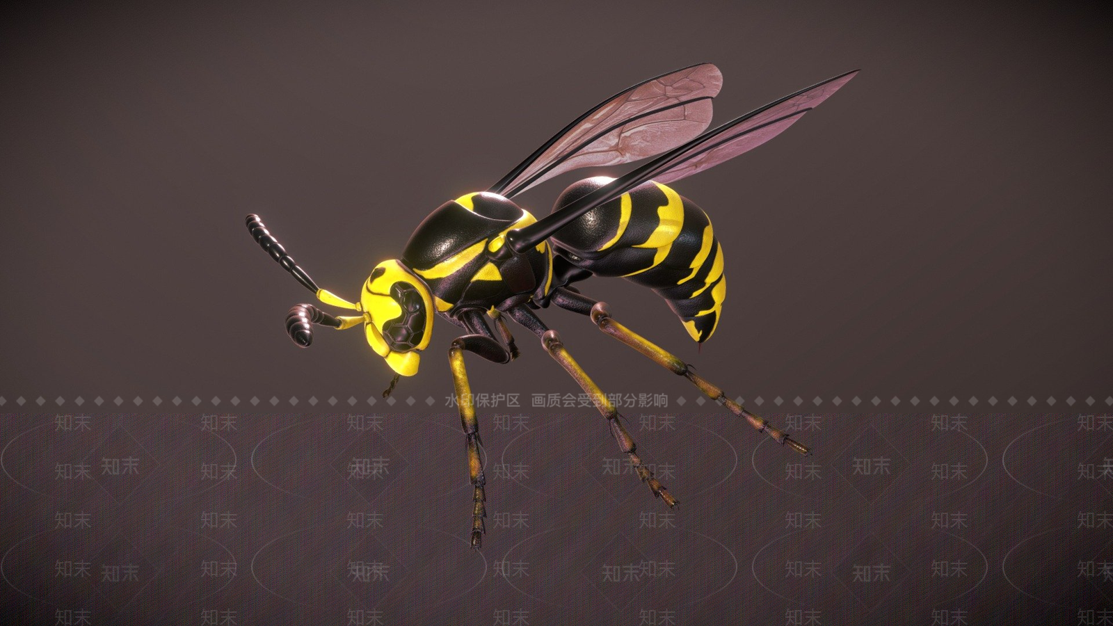 其他动物3D模型下载【ID:1197431752】
