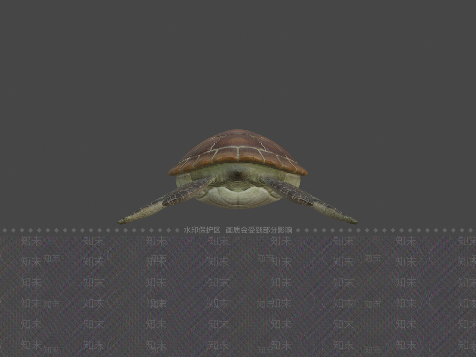 其他动物3D模型下载【ID:1197431717】