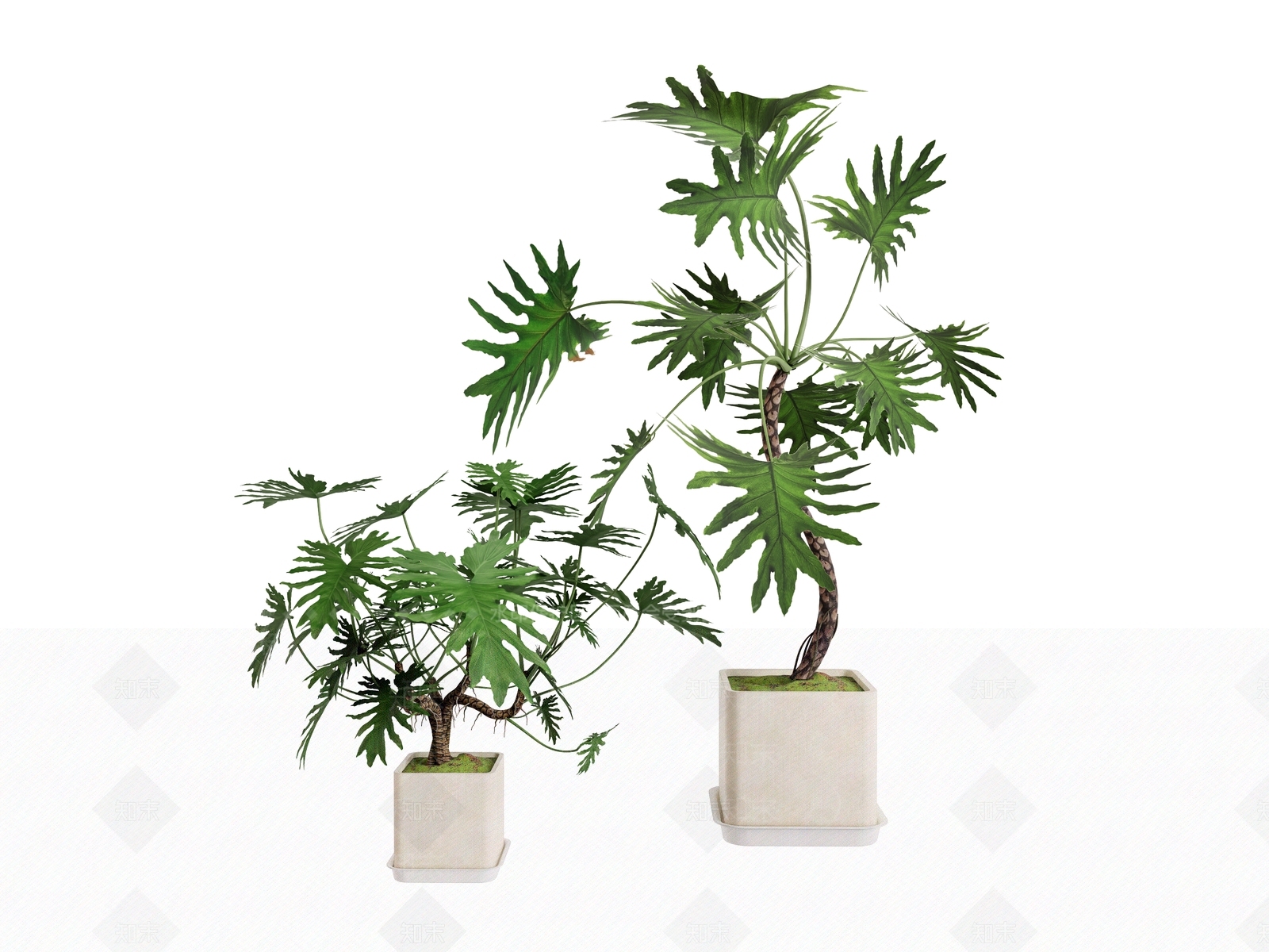 盆栽SU模型下载【ID:1197432614】