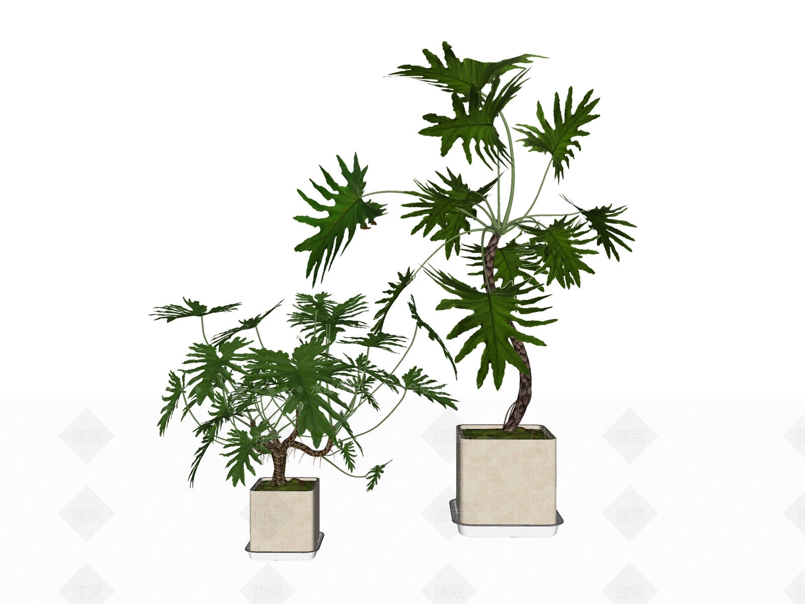 盆栽SU模型下载【ID:1197432614】