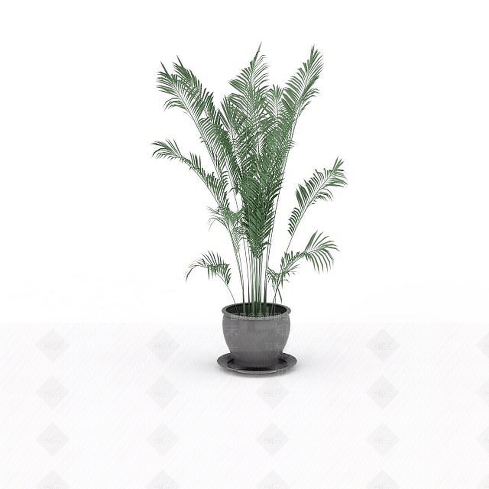 现代散尾葵盆栽3D模型下载【ID:1197476191】