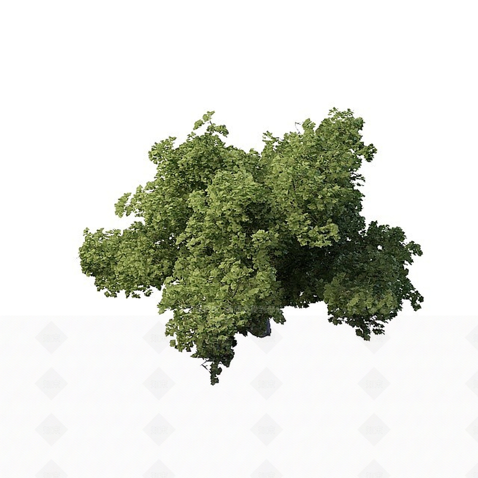 现代景观树木3D模型下载【ID:1197479099】