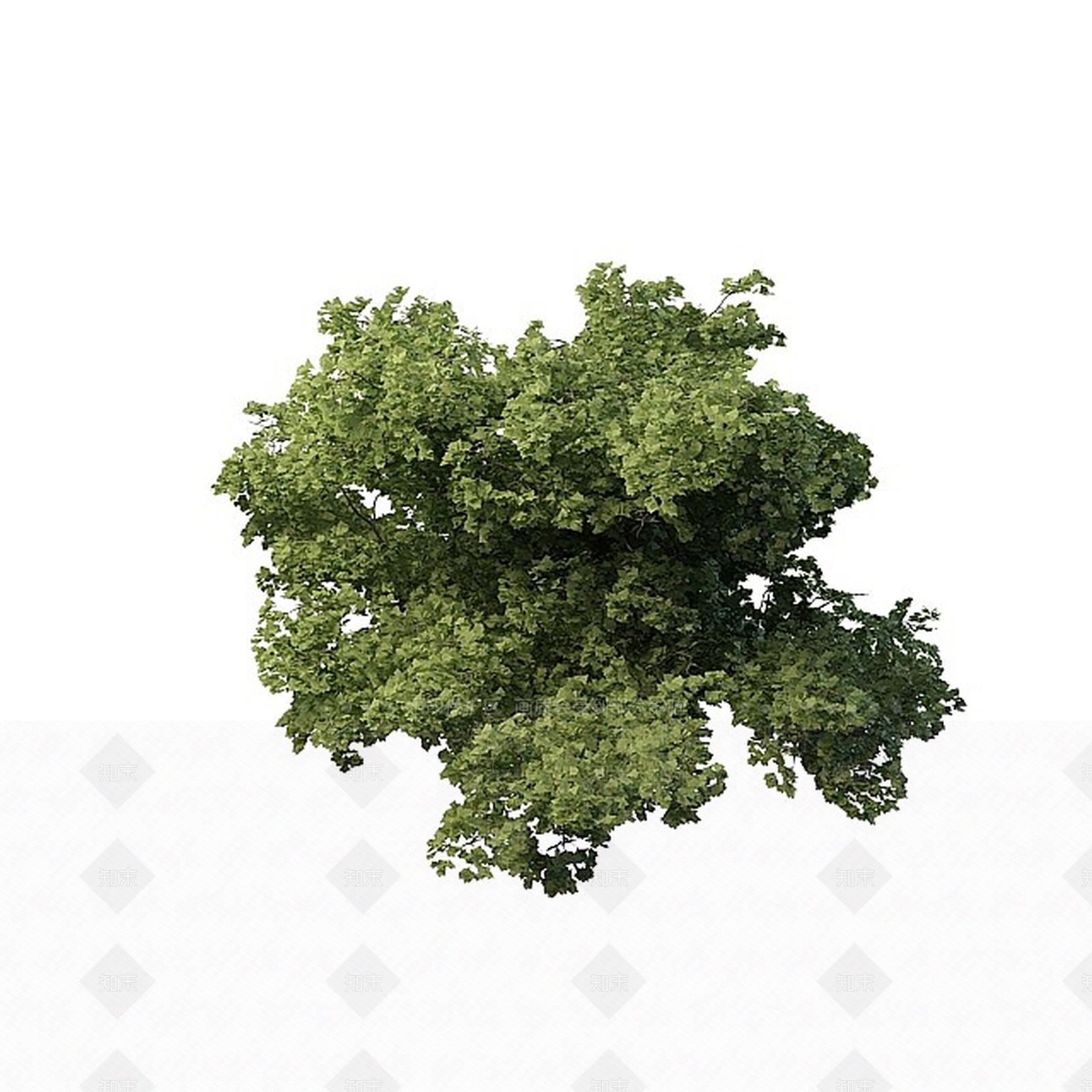 现代景观树木3D模型下载【ID:1197479099】