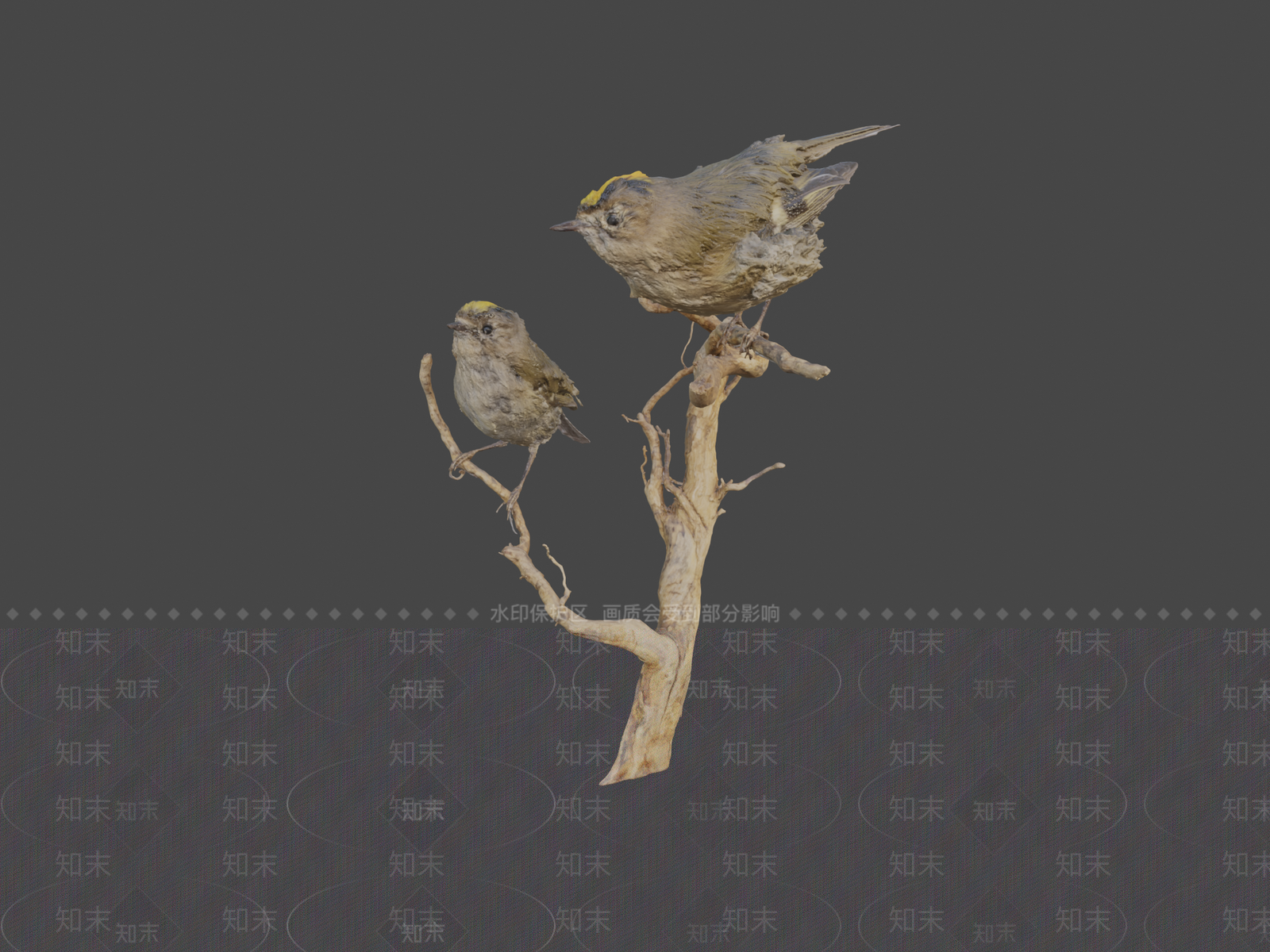 虚拟人物3D模型下载【ID:1197494778】
