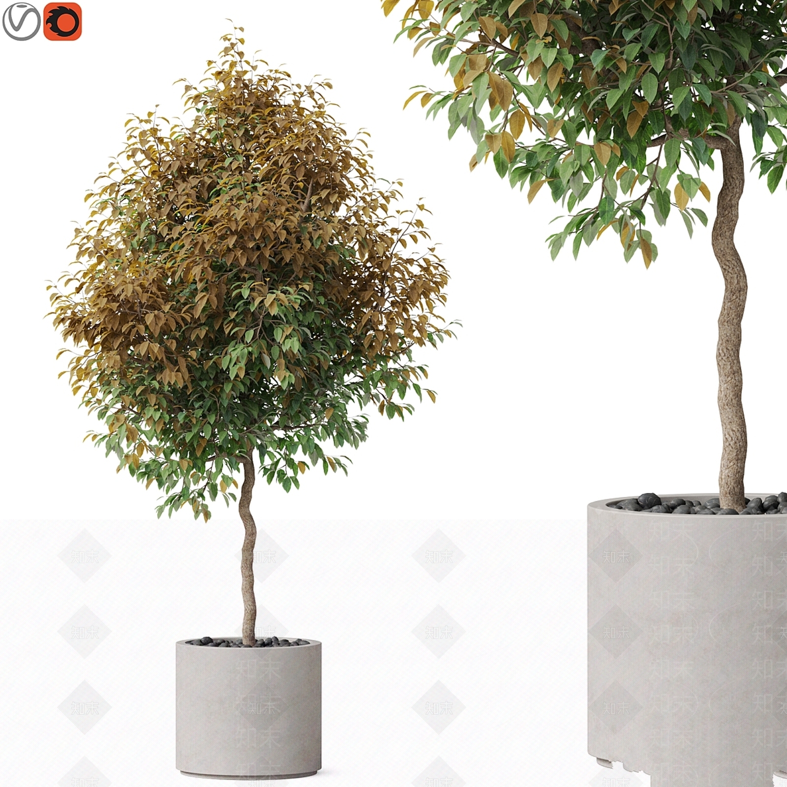 盆栽3D模型下载【ID:1197502397】