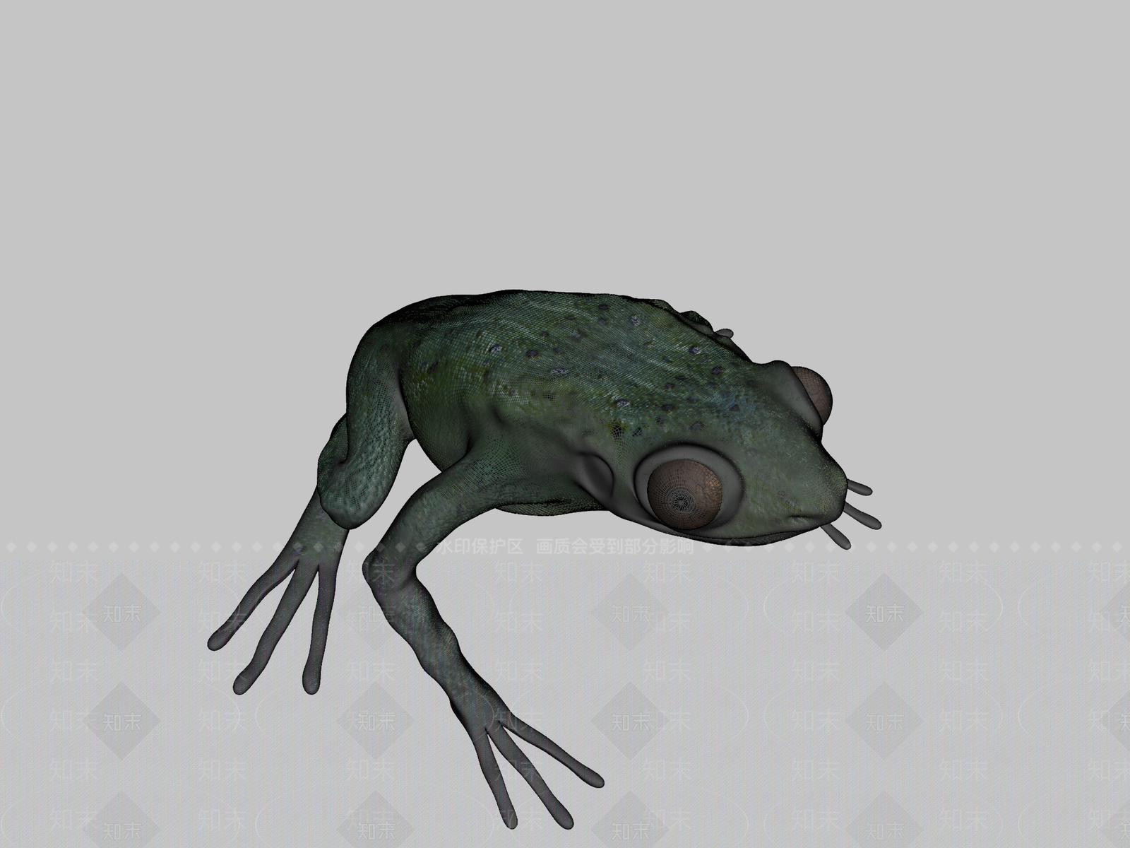 其他动物3D模型下载【ID:1197523280】