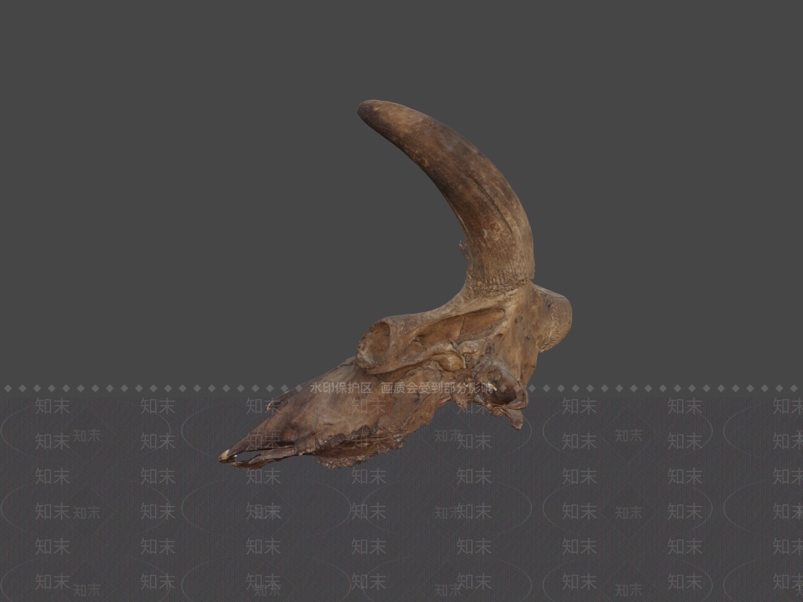 其他动物3D模型下载【ID:1197525151】