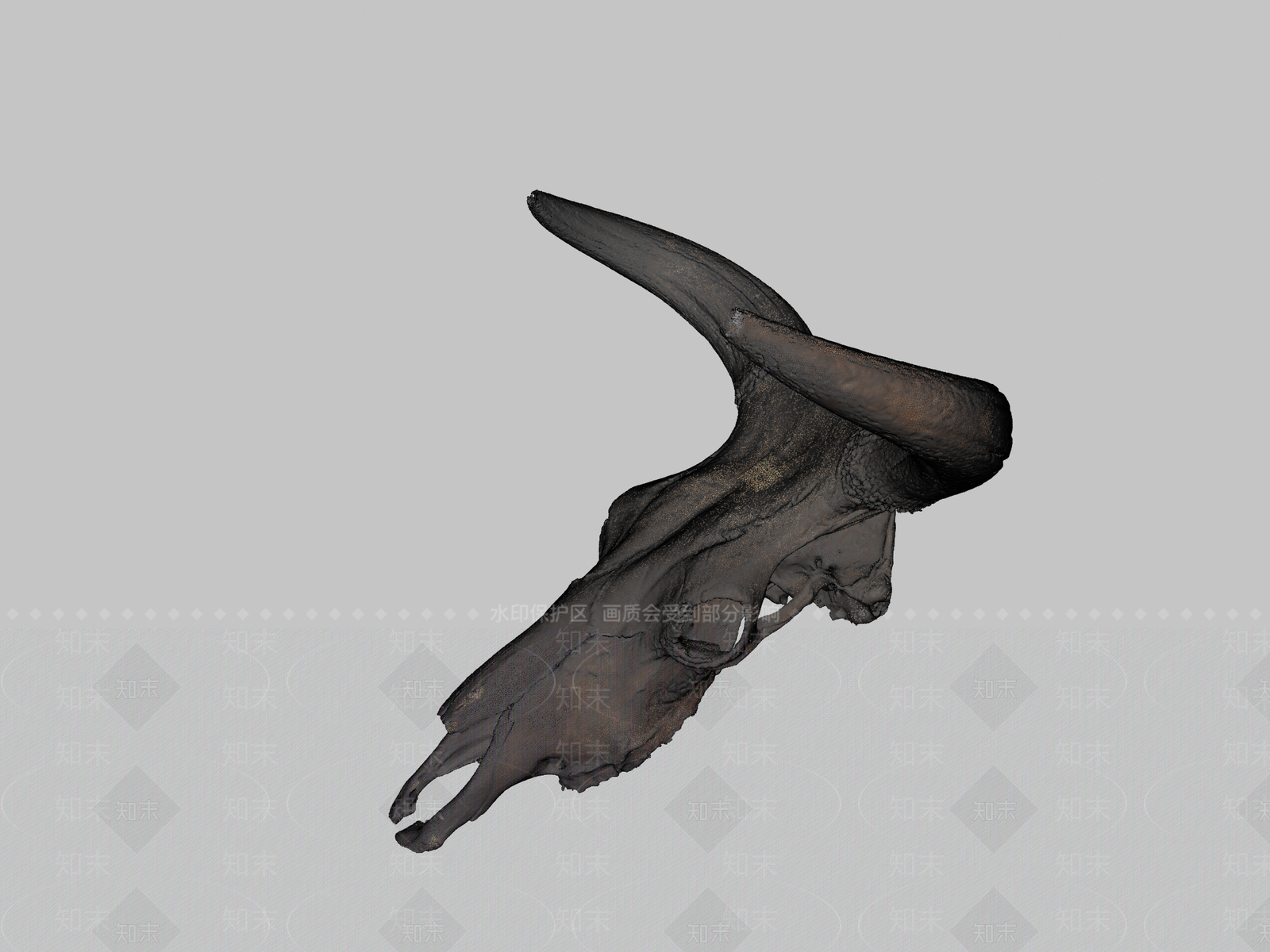 其他动物3D模型下载【ID:1197525151】