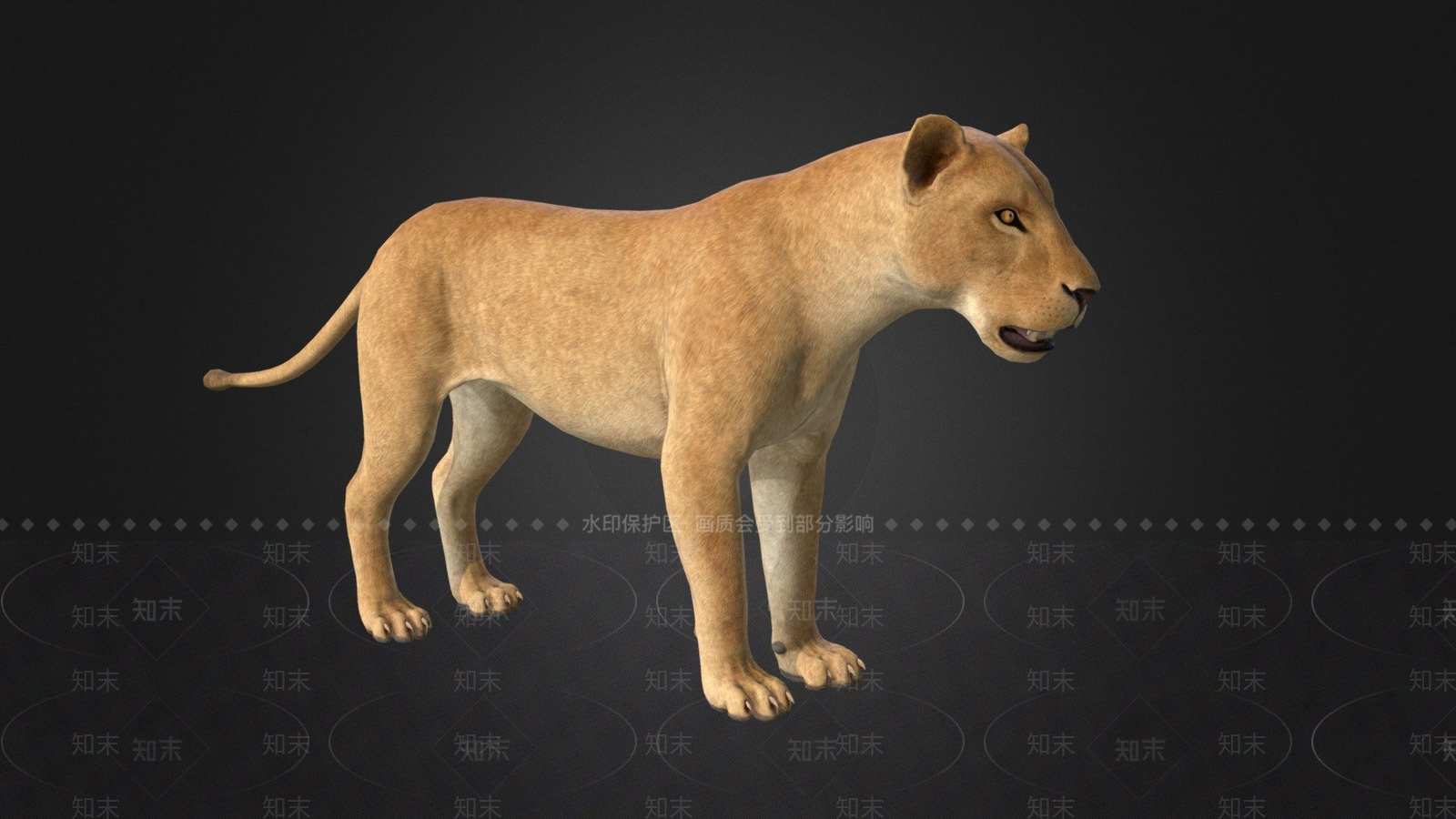 其他动物3D模型下载【ID:1197526419】