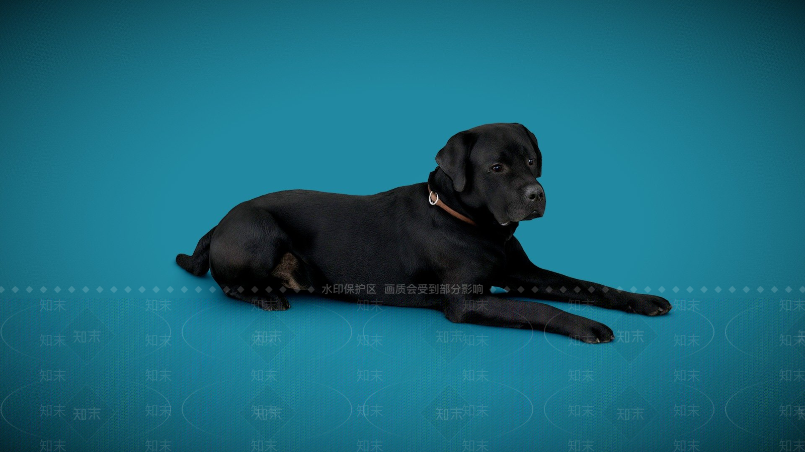 其他动物3D模型下载【ID:1197529628】