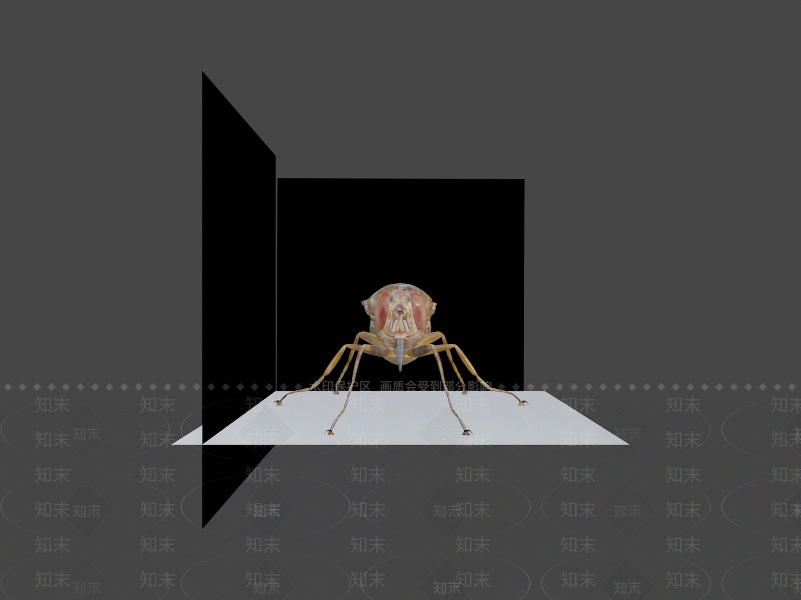 其他动物3D模型下载【ID:1197530753】