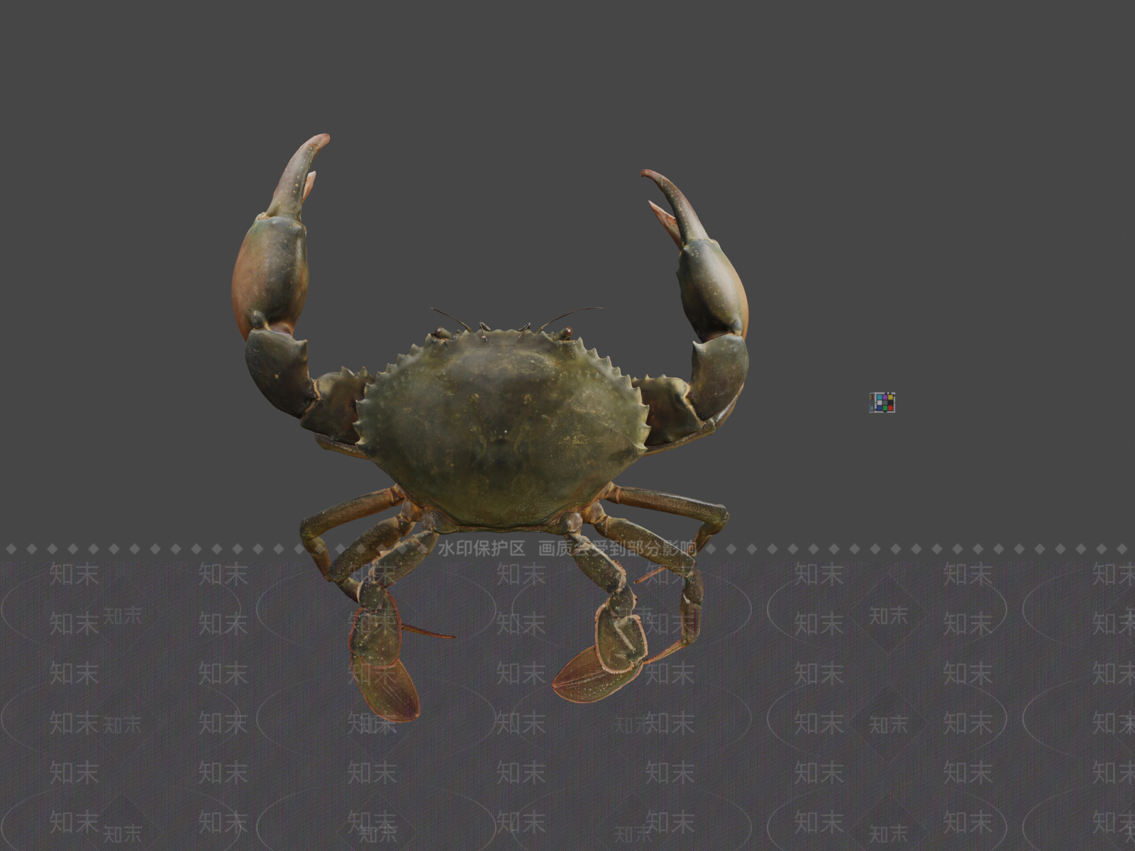 其他动物3D模型下载【ID:1197532347】