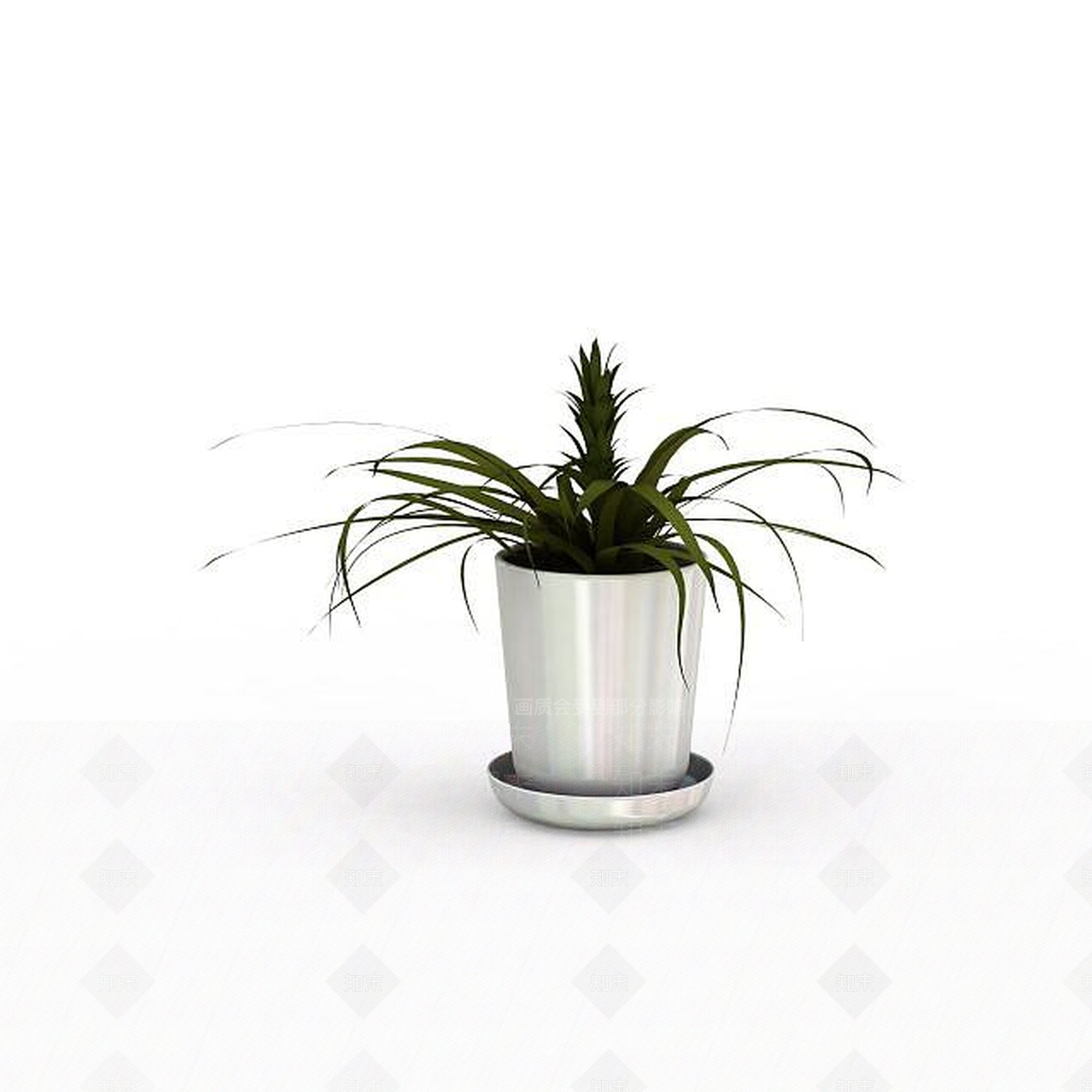 现代吊兰3D模型下载【ID:1197535012】