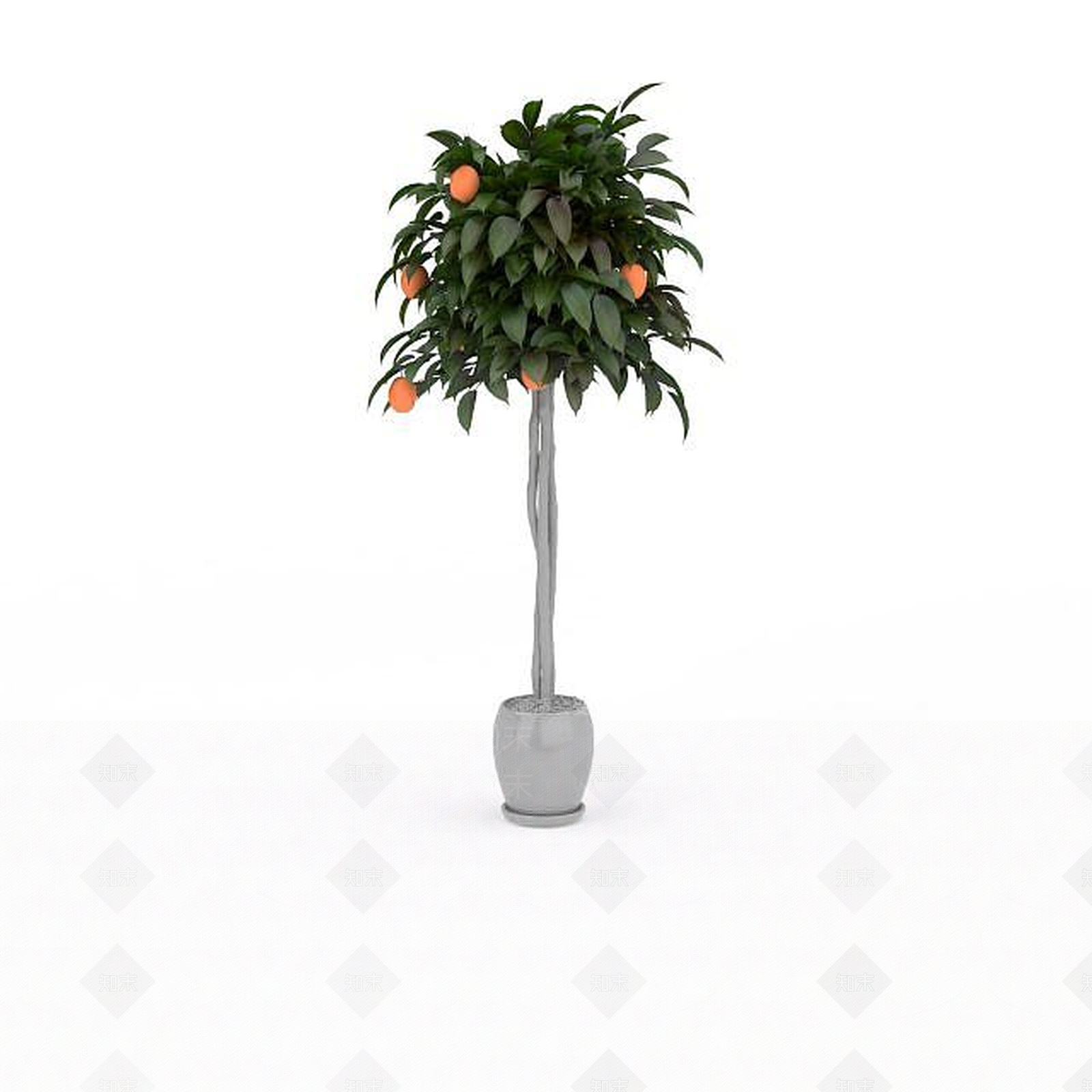 现代水果树3D模型下载【ID:1197535170】