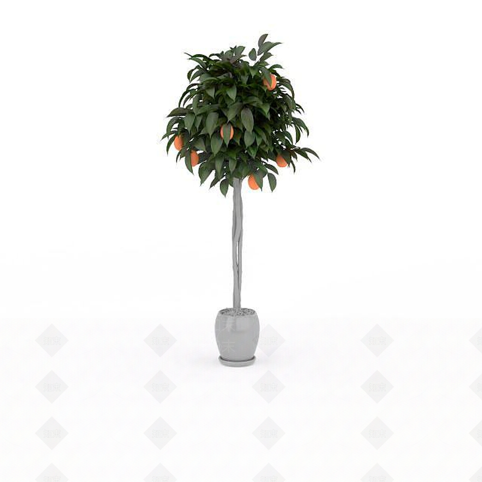 现代水果树3D模型下载【ID:1197535170】