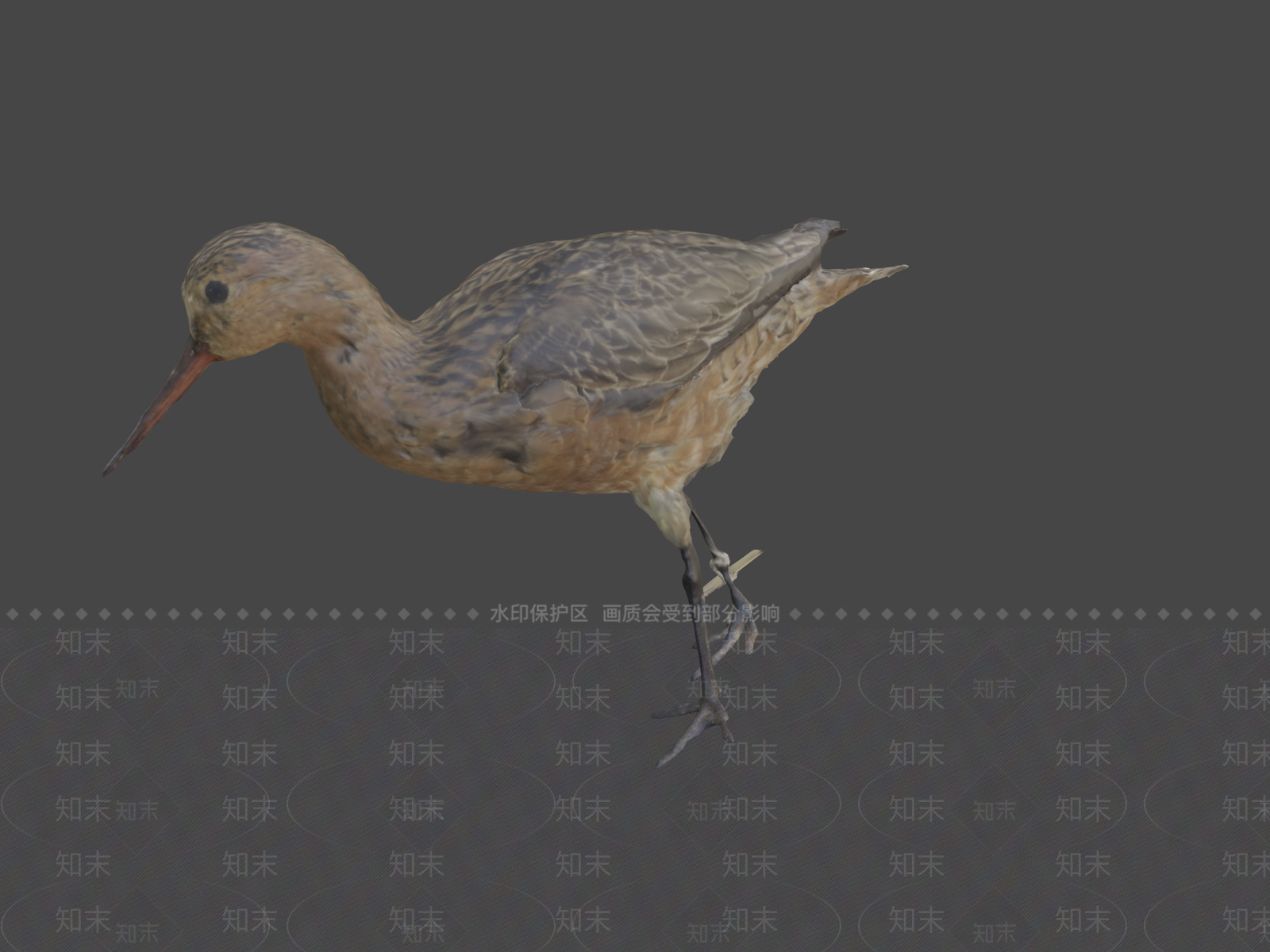 其他动物3D模型下载【ID:1197536179】