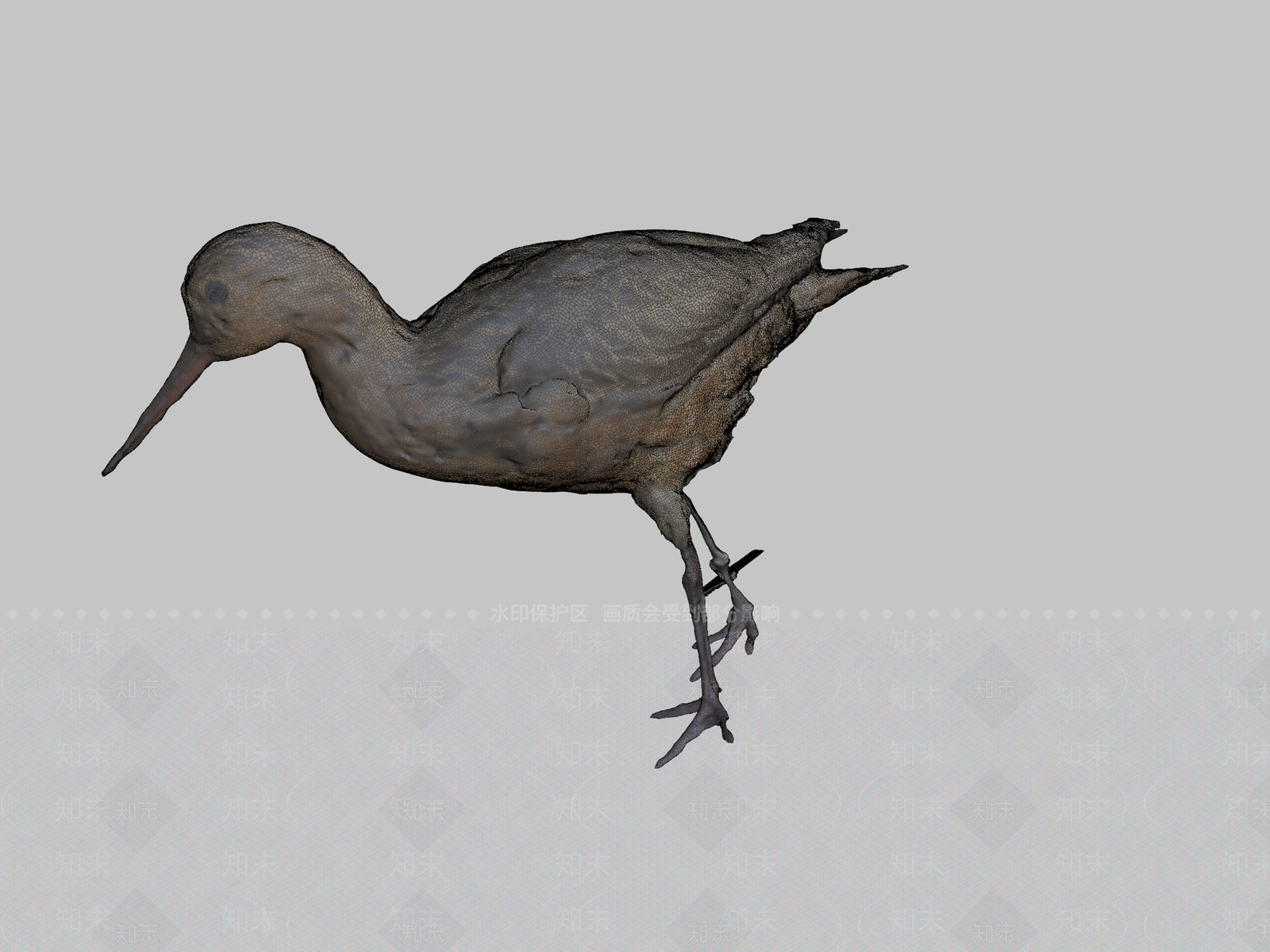 其他动物3D模型下载【ID:1197536179】