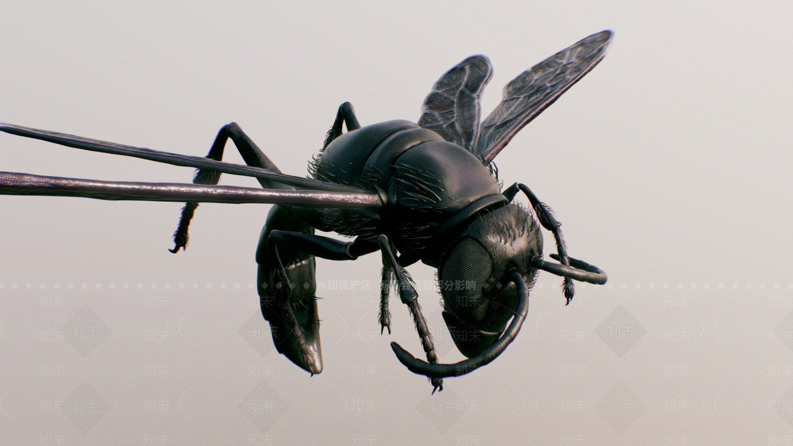 虚拟人物3D模型下载【ID:1197537047】