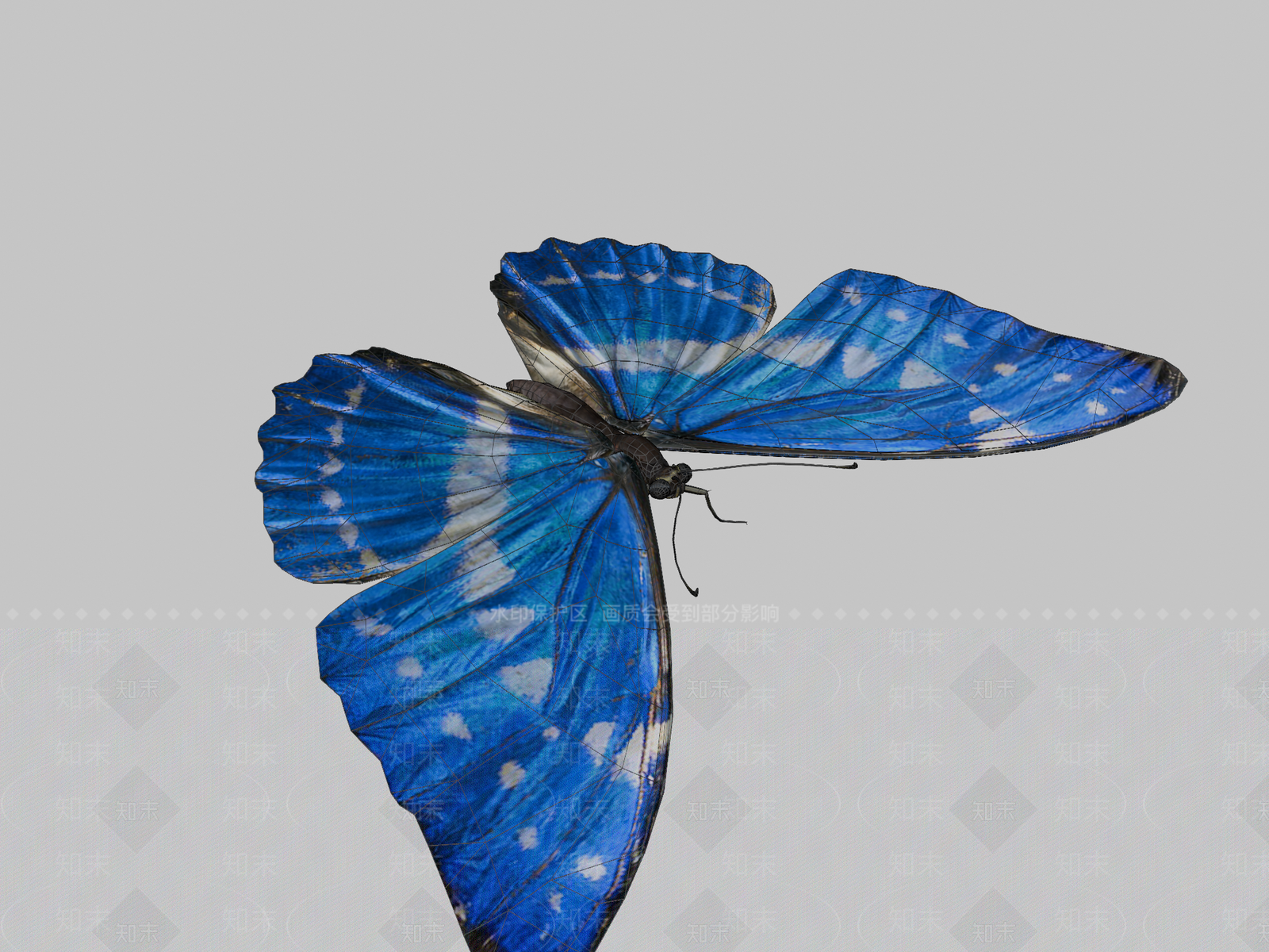 其他动物3D模型下载【ID:1197538158】