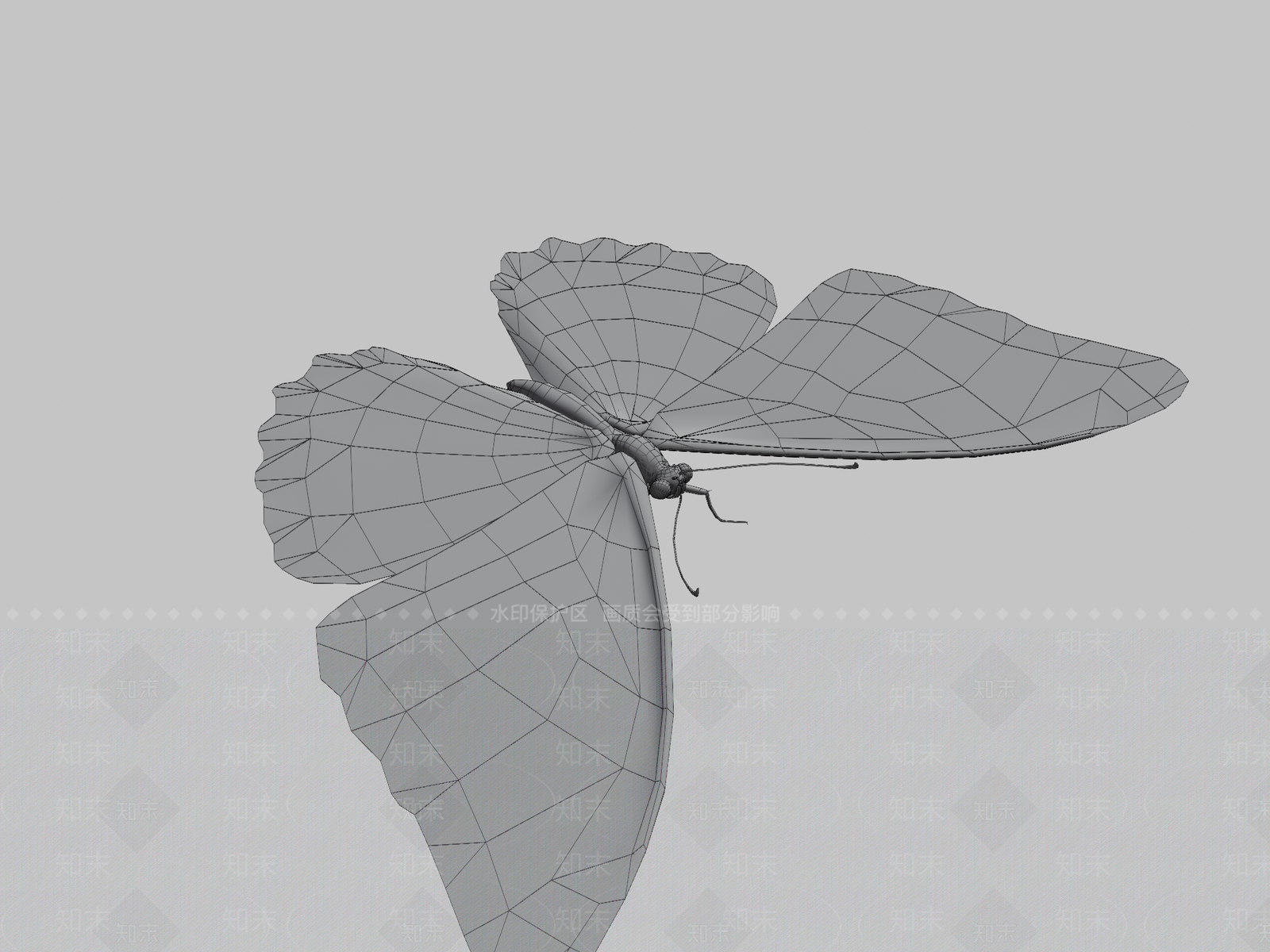 其他动物3D模型下载【ID:1197538158】