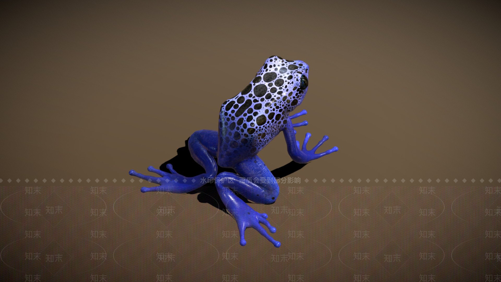 其他动物3D模型下载【ID:1197539384】