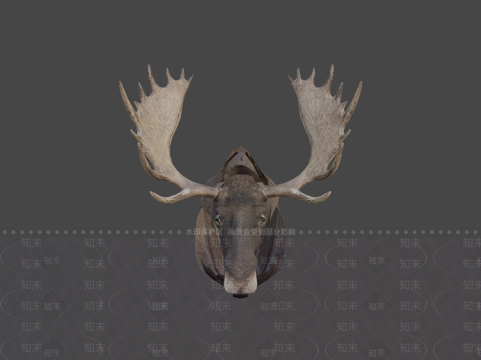 其他动物3D模型下载【ID:1197539797】