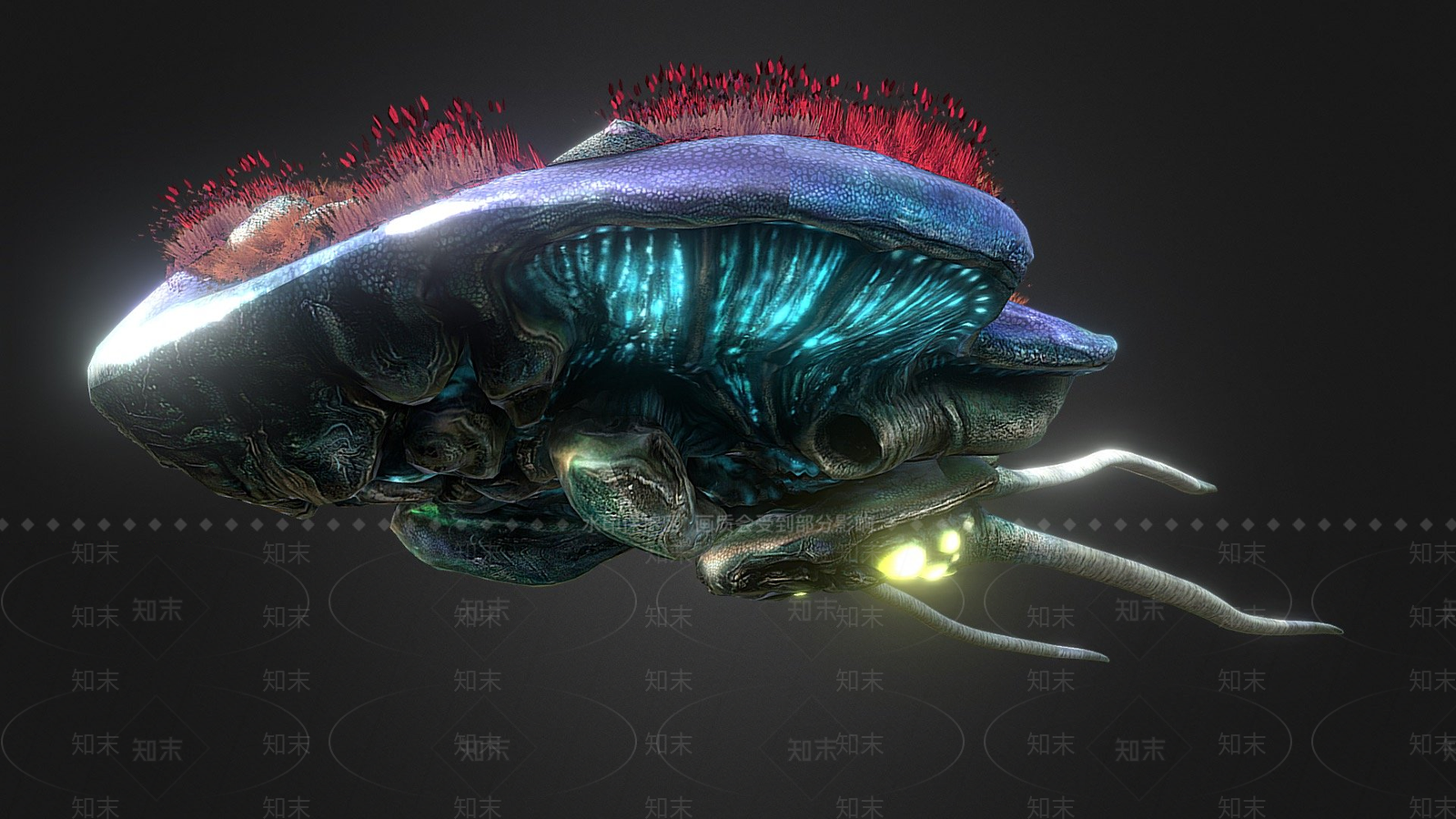 其他动物3D模型下载【ID:1197541559】