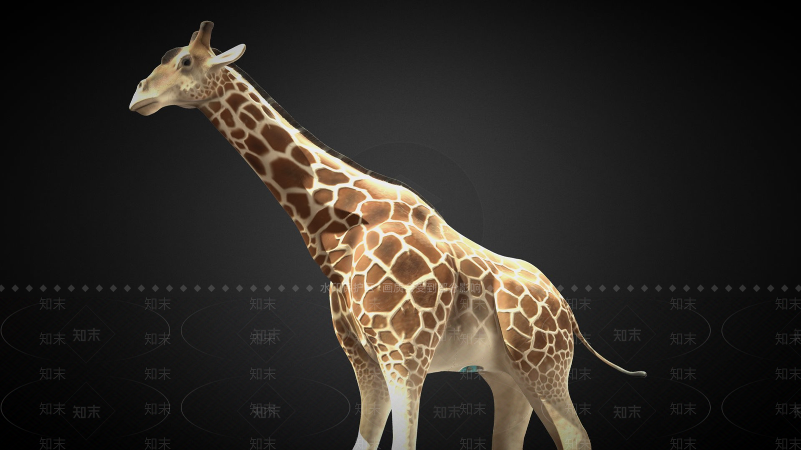 其他绿植3D模型下载【ID:1197548727】
