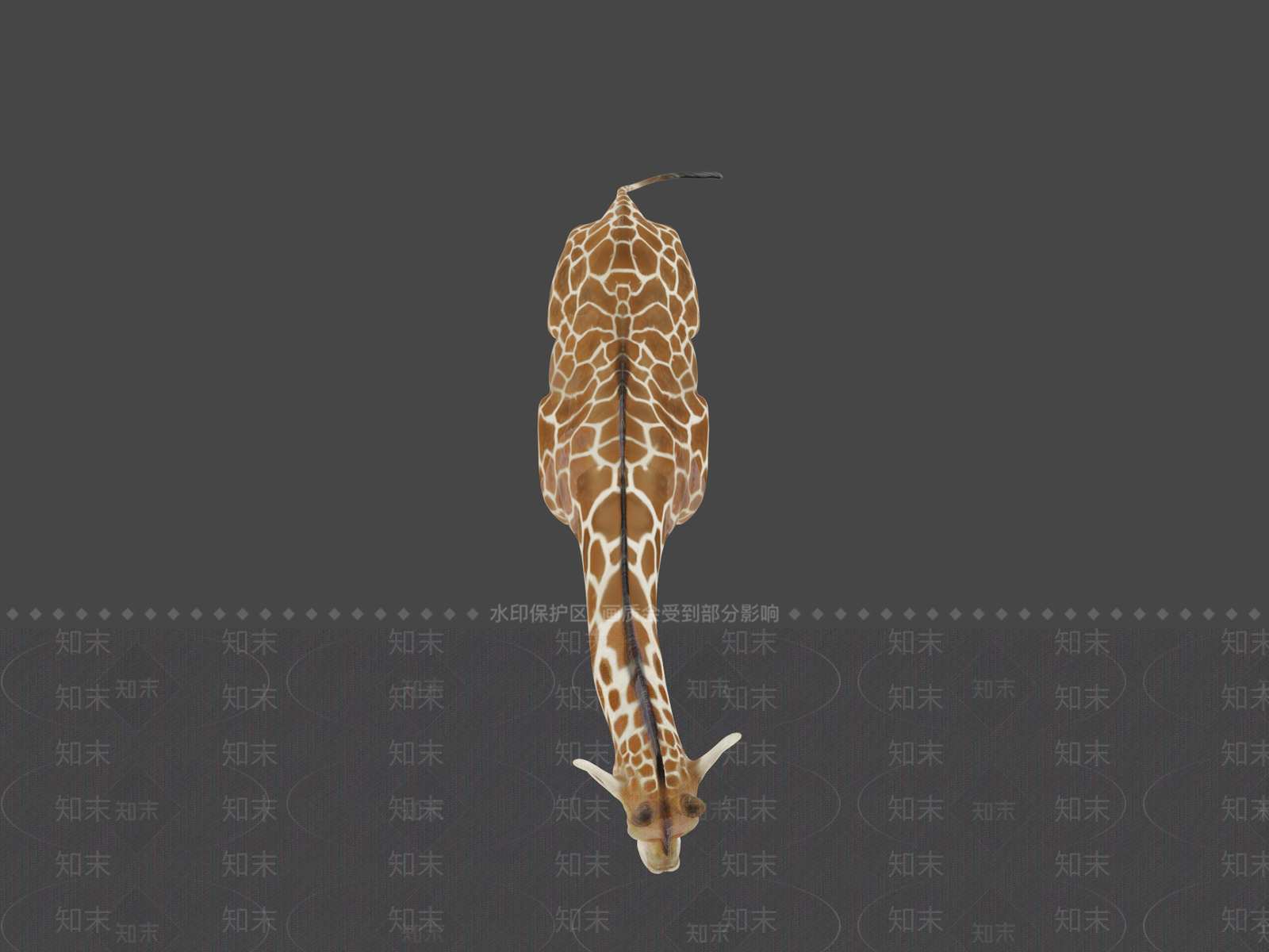其他绿植3D模型下载【ID:1197548727】