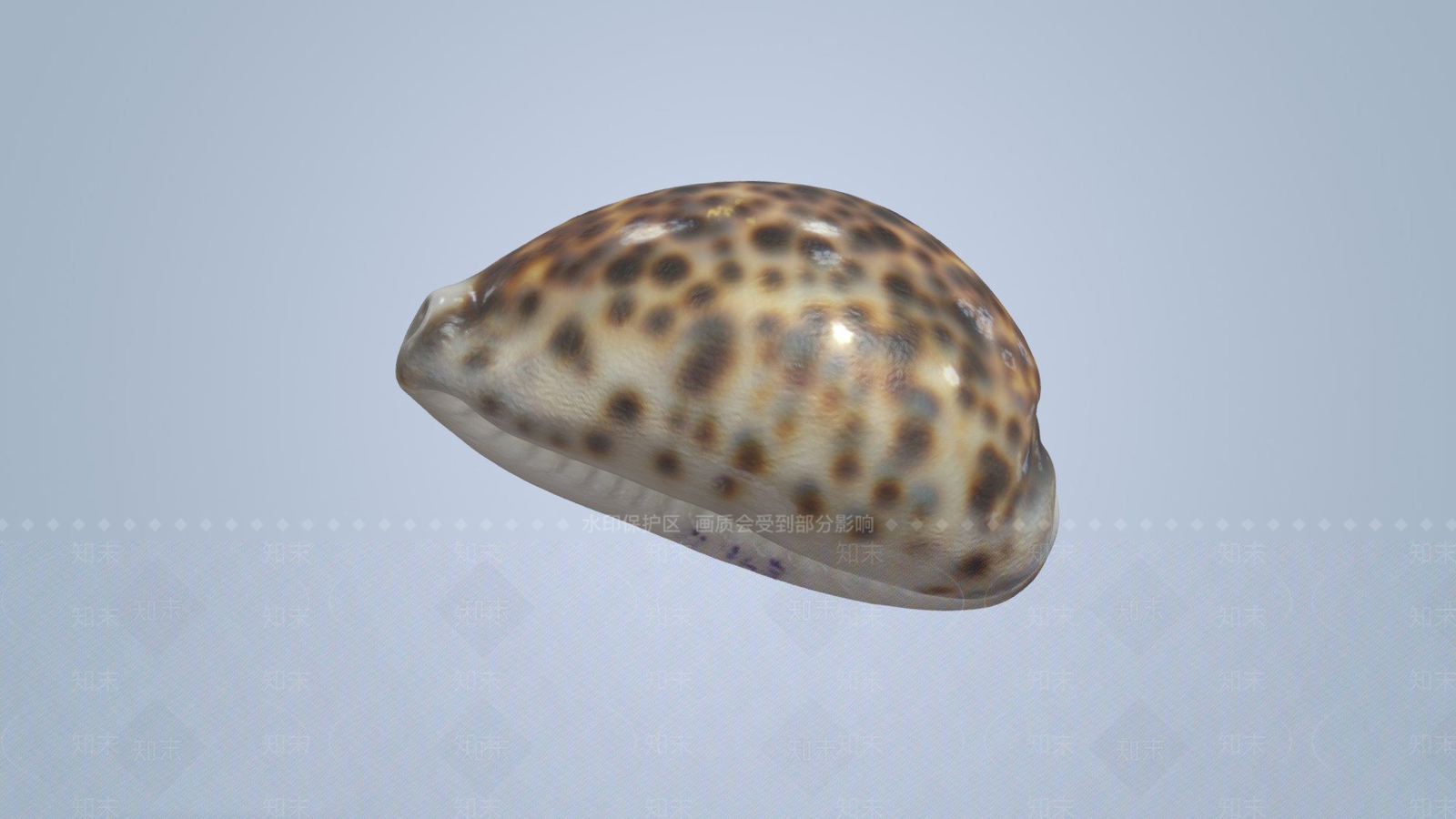 其他生活用品3D模型下载【ID:1197549035】