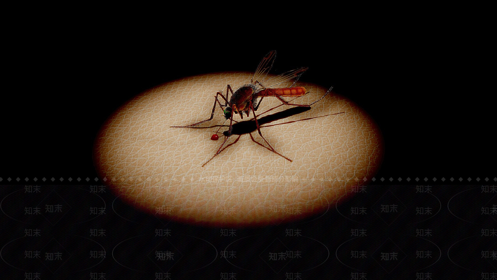 其他动物3D模型下载【ID:1197551786】