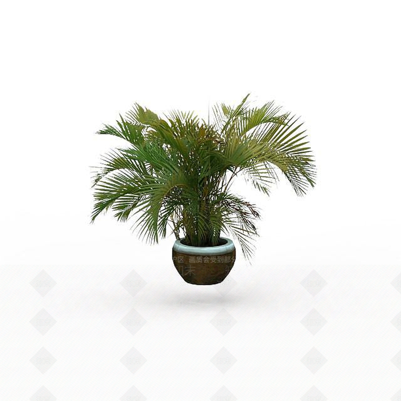 现代盆栽棕榈3D模型下载【ID:1197553518】