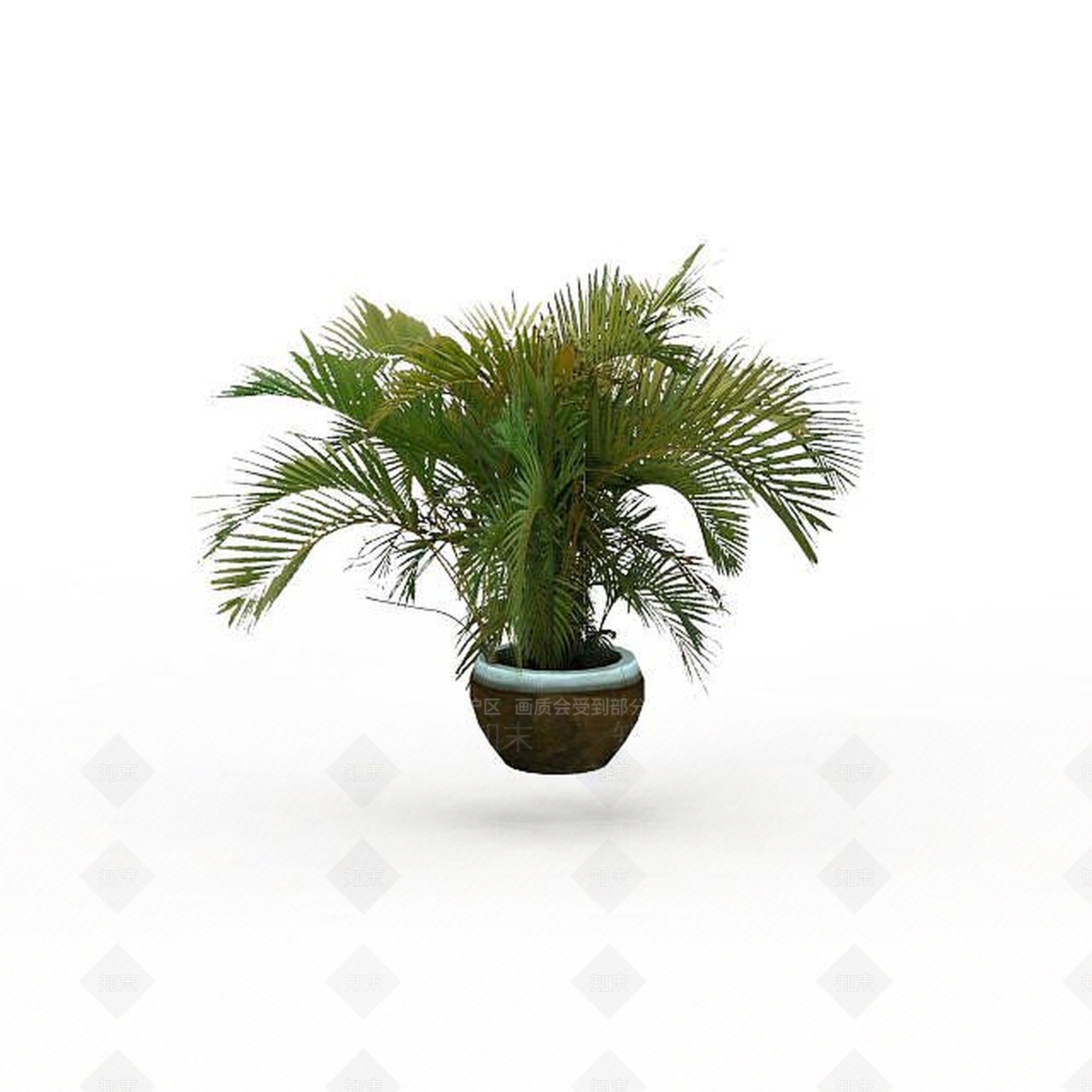 现代盆栽棕榈3D模型下载【ID:1197553518】