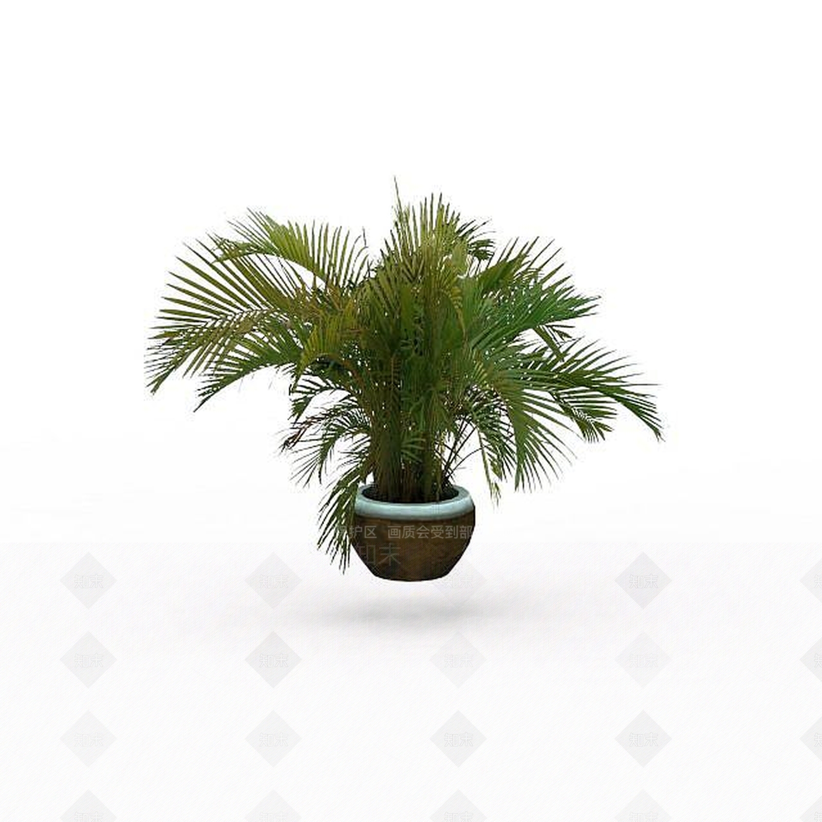 现代盆栽棕榈3D模型下载【ID:1197553518】