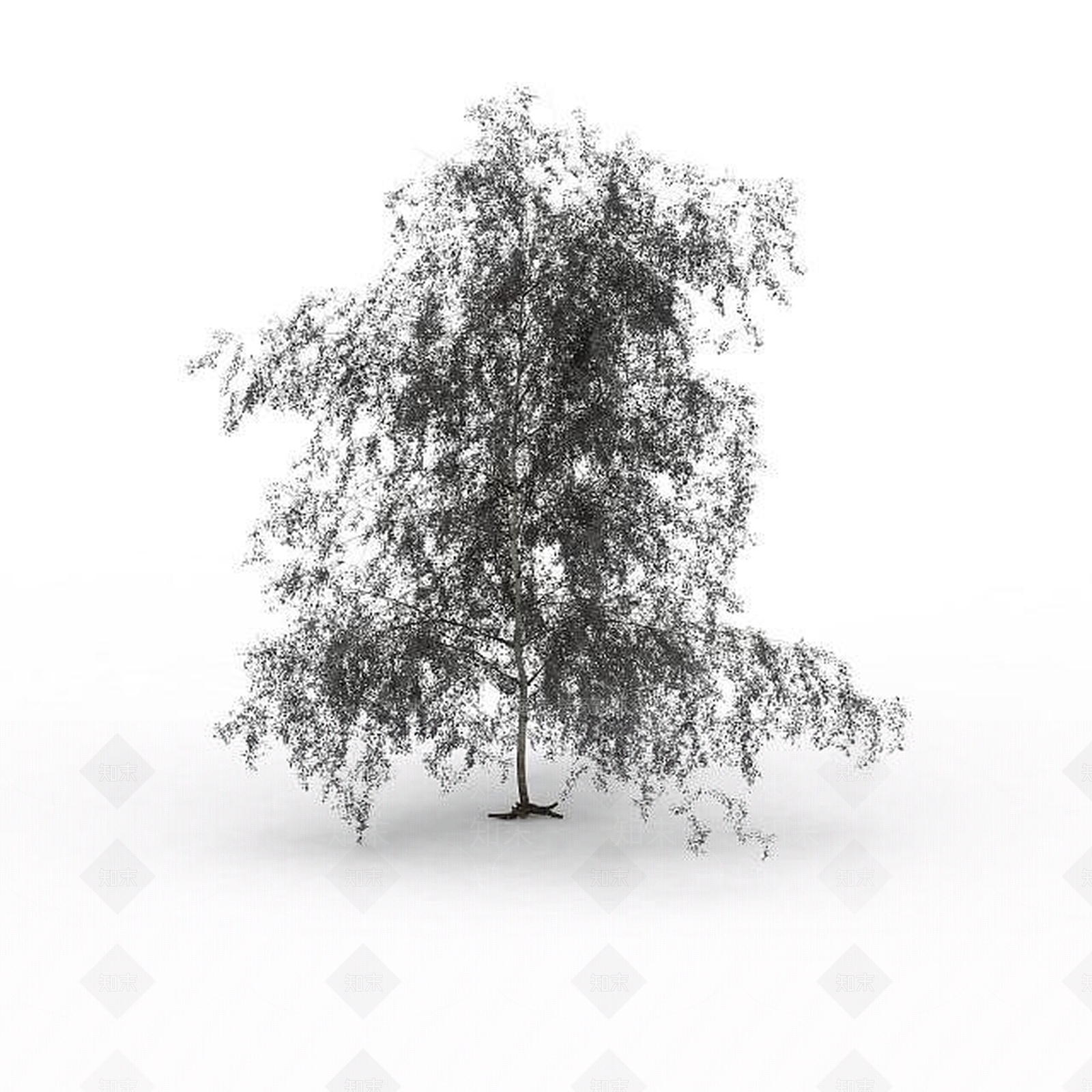 现代景观树3D模型下载【ID:1197575426】