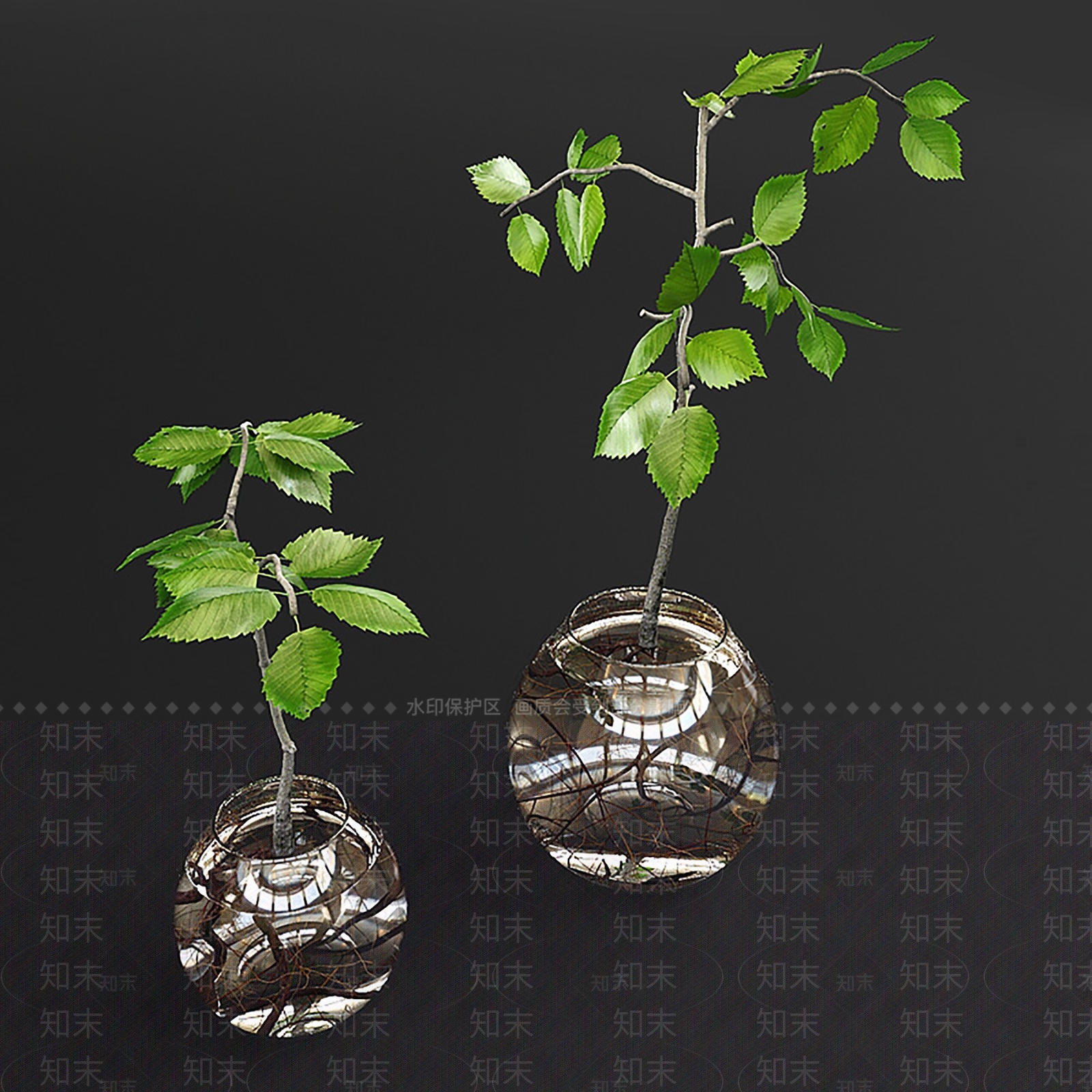 现代美式草本植物3D模型下载【ID:1197577026】