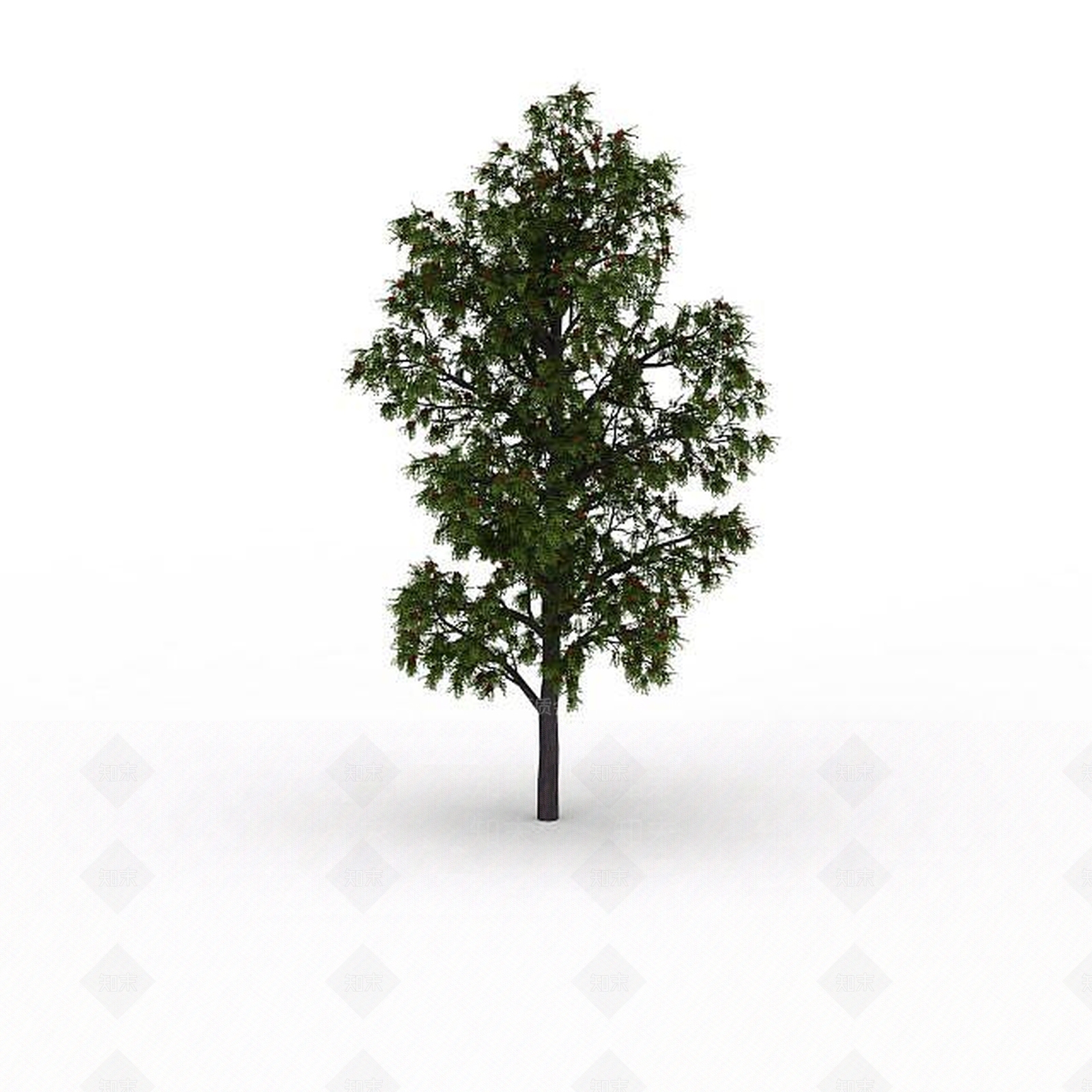 现代其他景观小品3D模型下载【ID:1197595659】