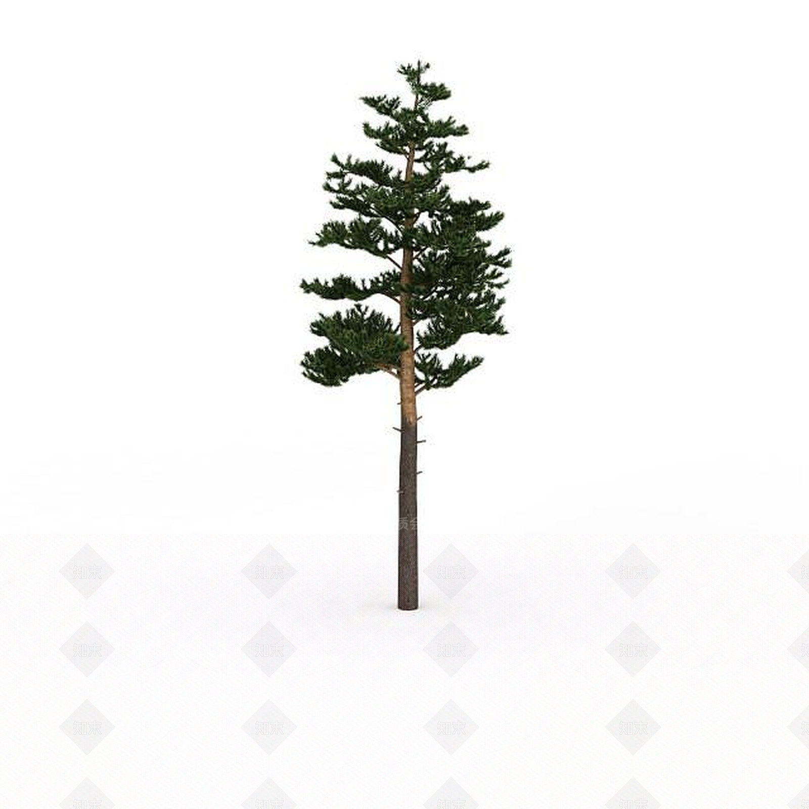 现代其他景观小品3D模型下载【ID:1197596989】