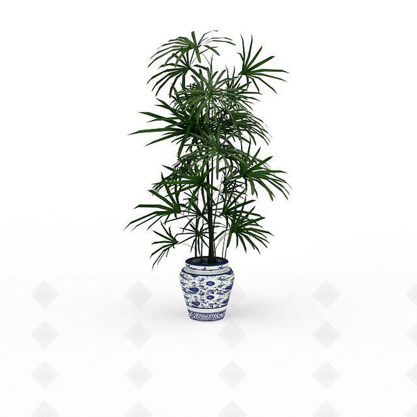 现代袖珍椰子树3D模型下载【ID:1197597419】