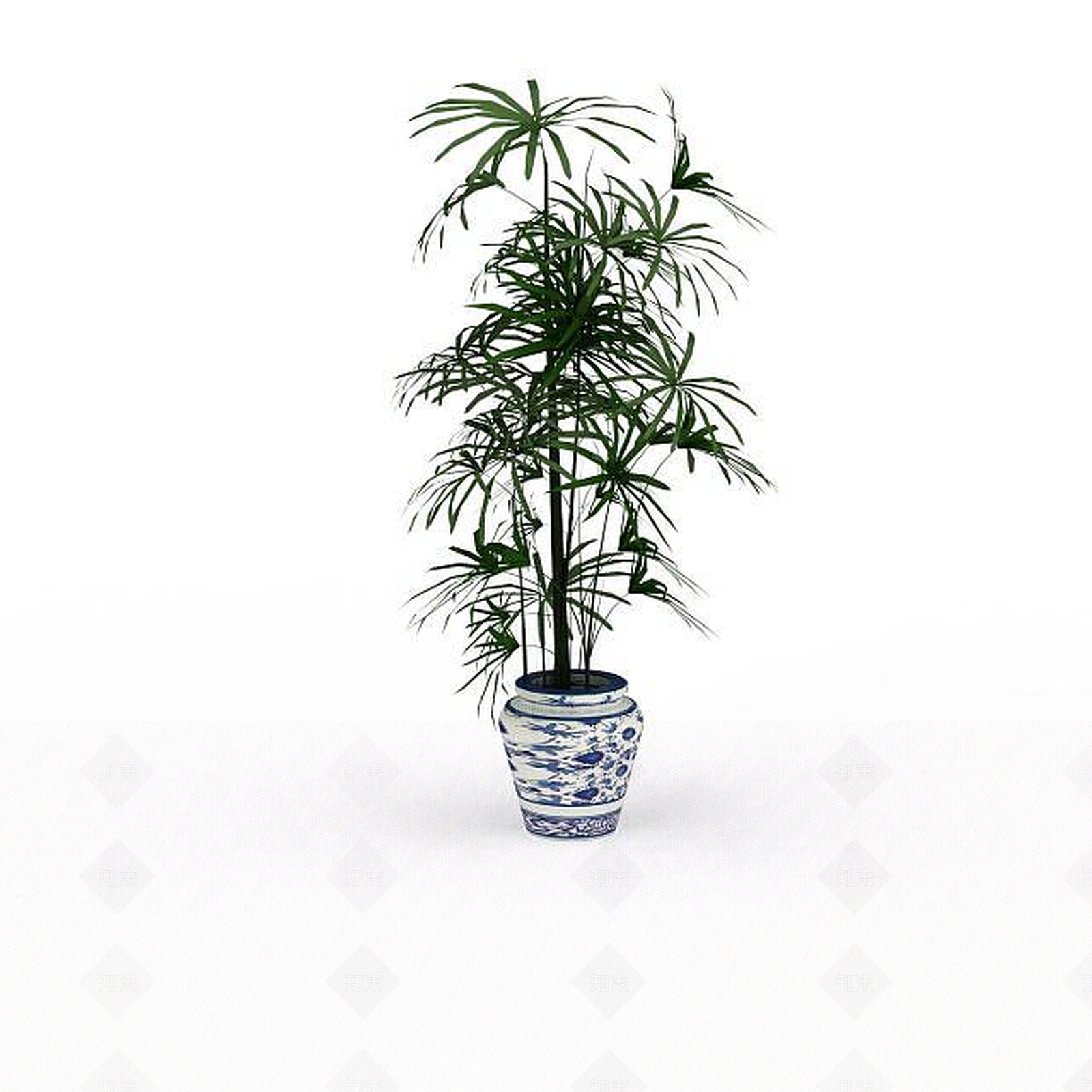 现代袖珍椰子树3D模型下载【ID:1197597419】