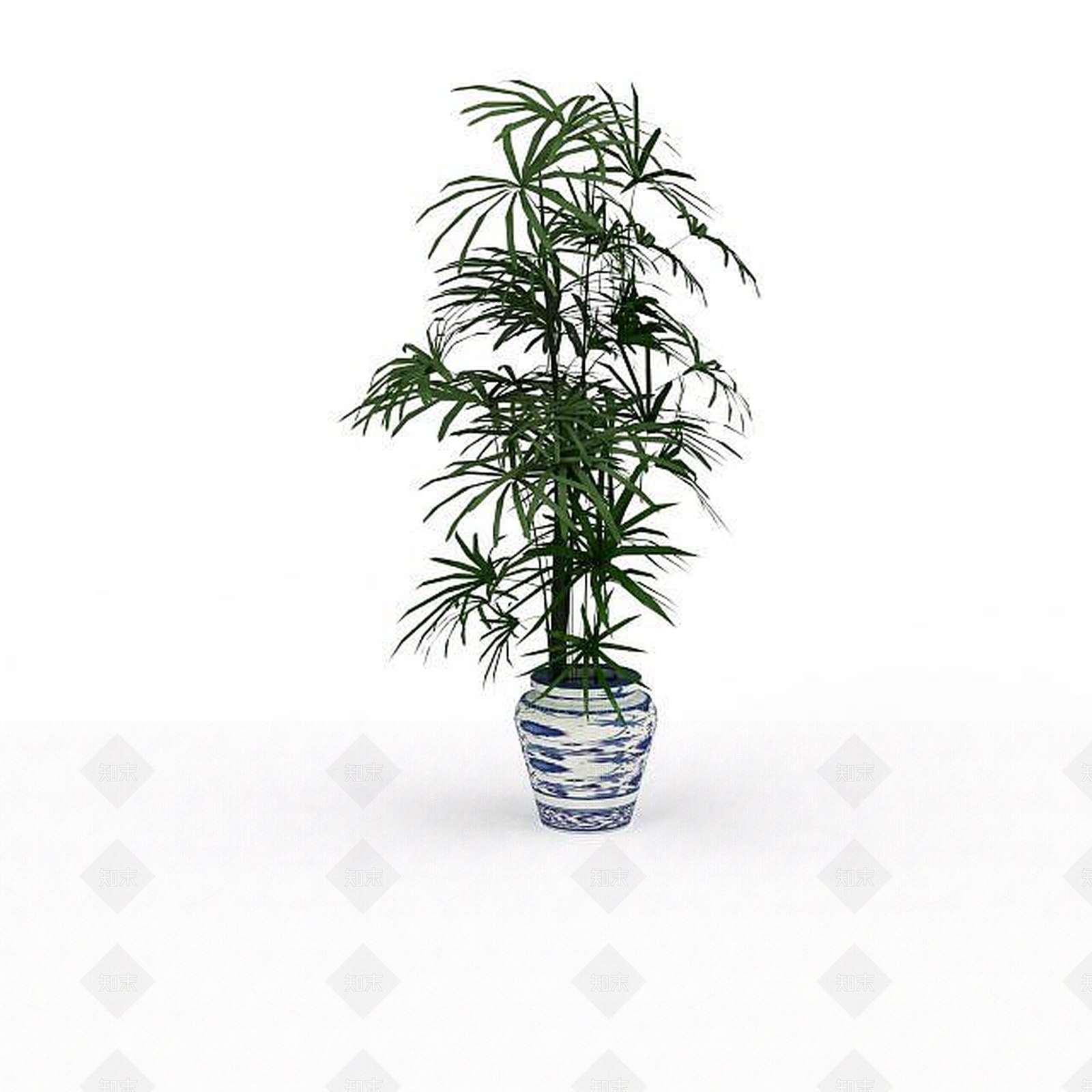 现代袖珍椰子树3D模型下载【ID:1197597419】