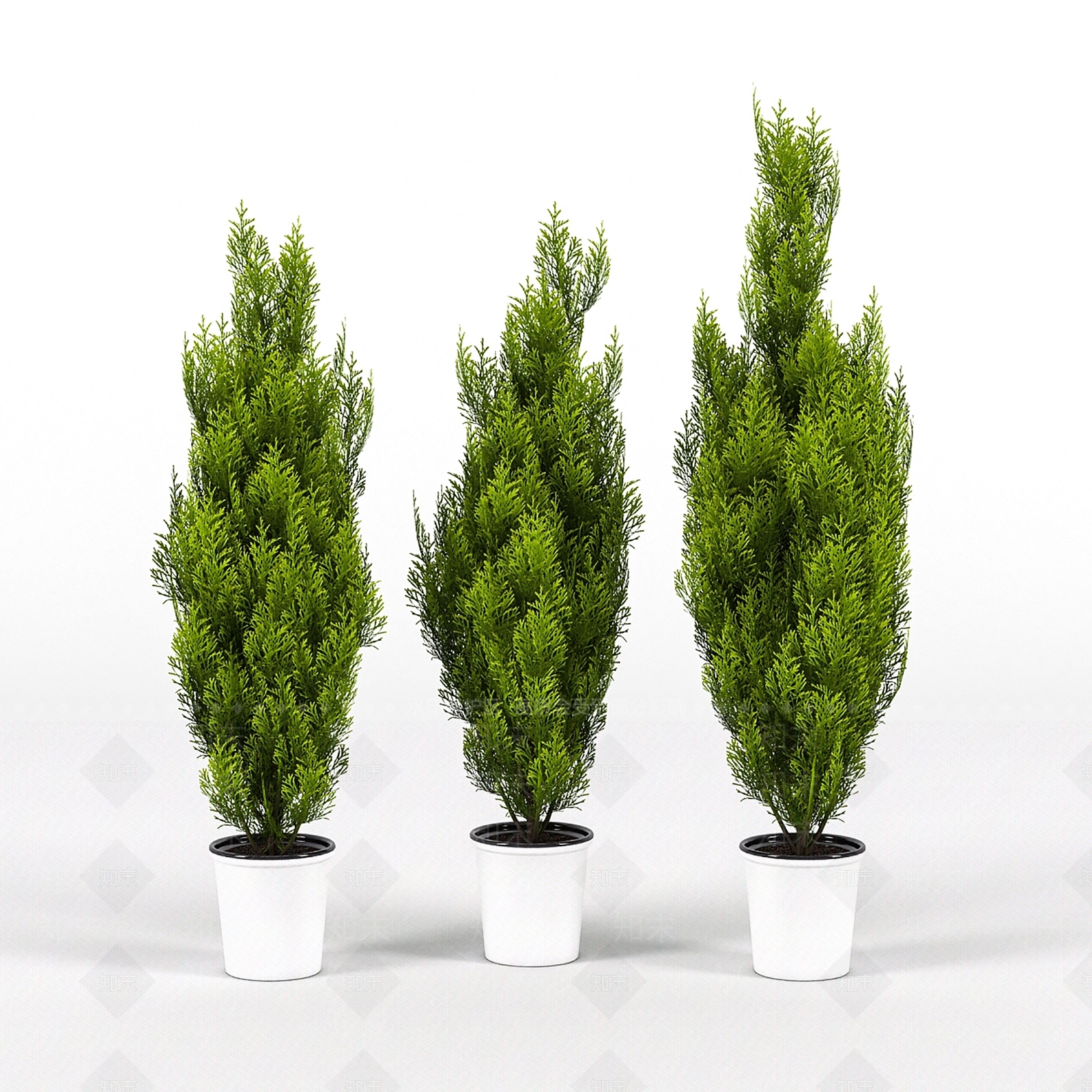 植物堆3D模型下载【ID:1197617897】