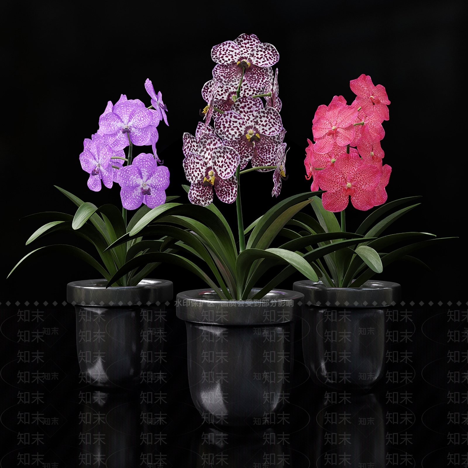 花3D模型下载【ID:1197619116】