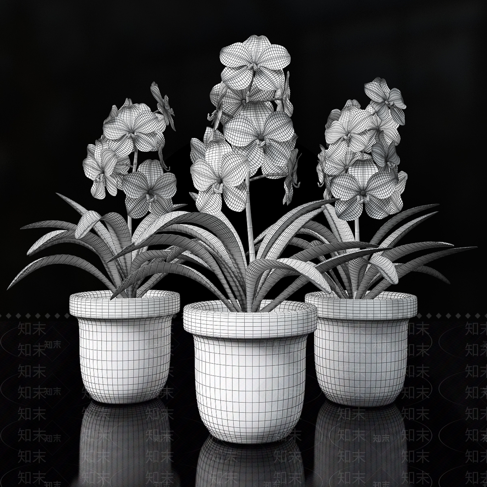 花3D模型下载【ID:1197619116】