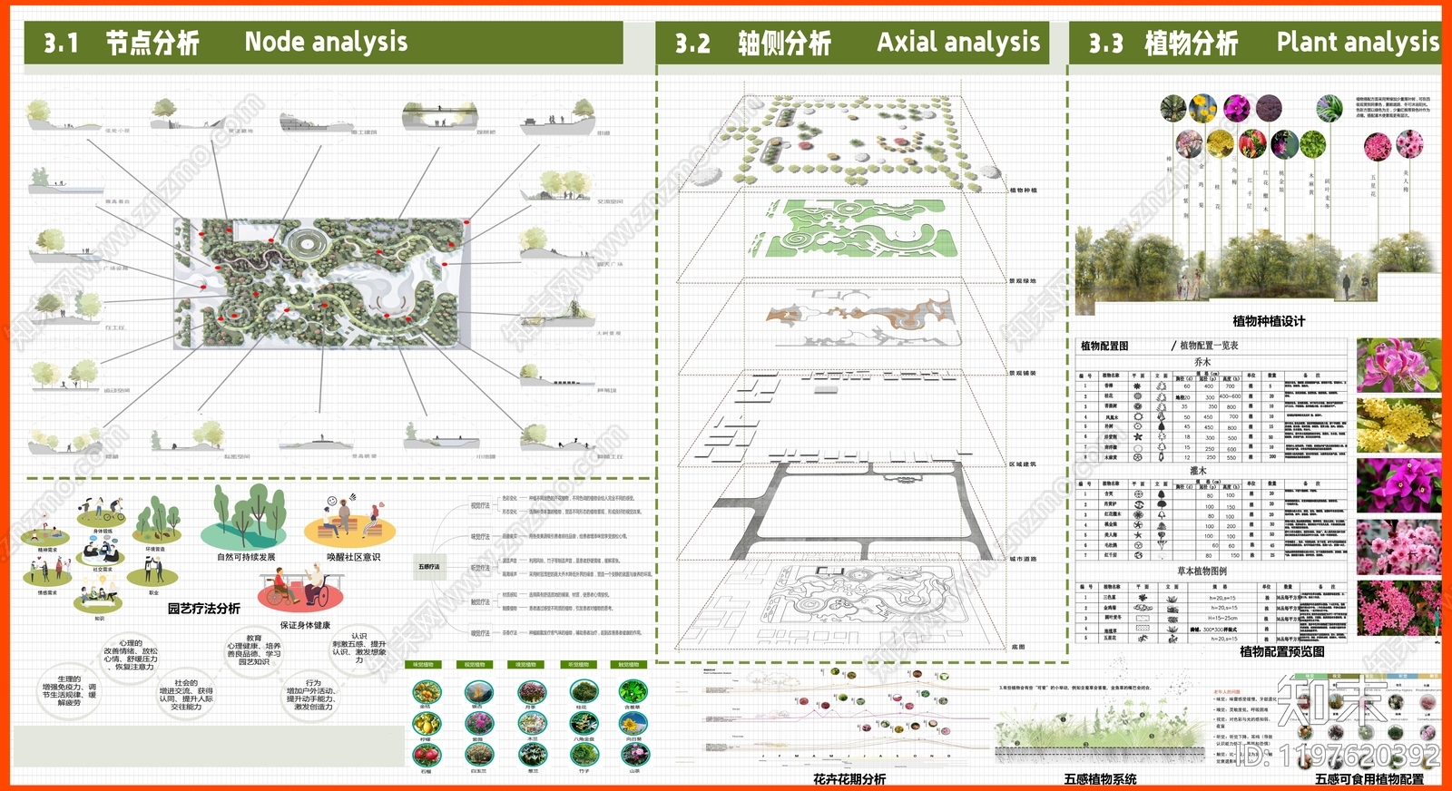 植物分析图设计素材精品下载_知末网
