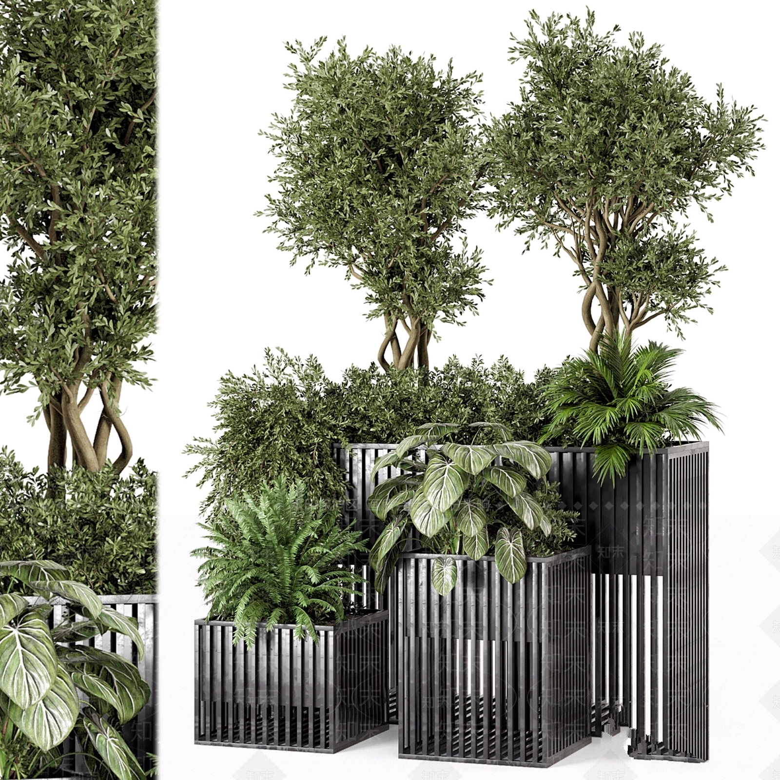 其他绿植3D模型下载【ID:1197621494】