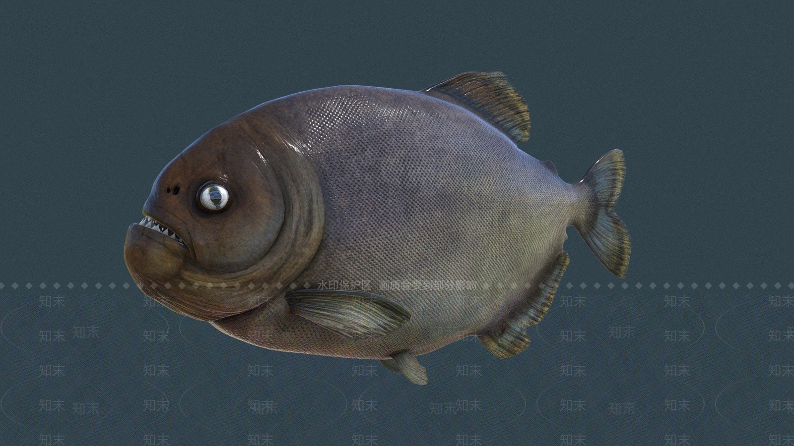 其他动物3D模型下载【ID:1197633955】